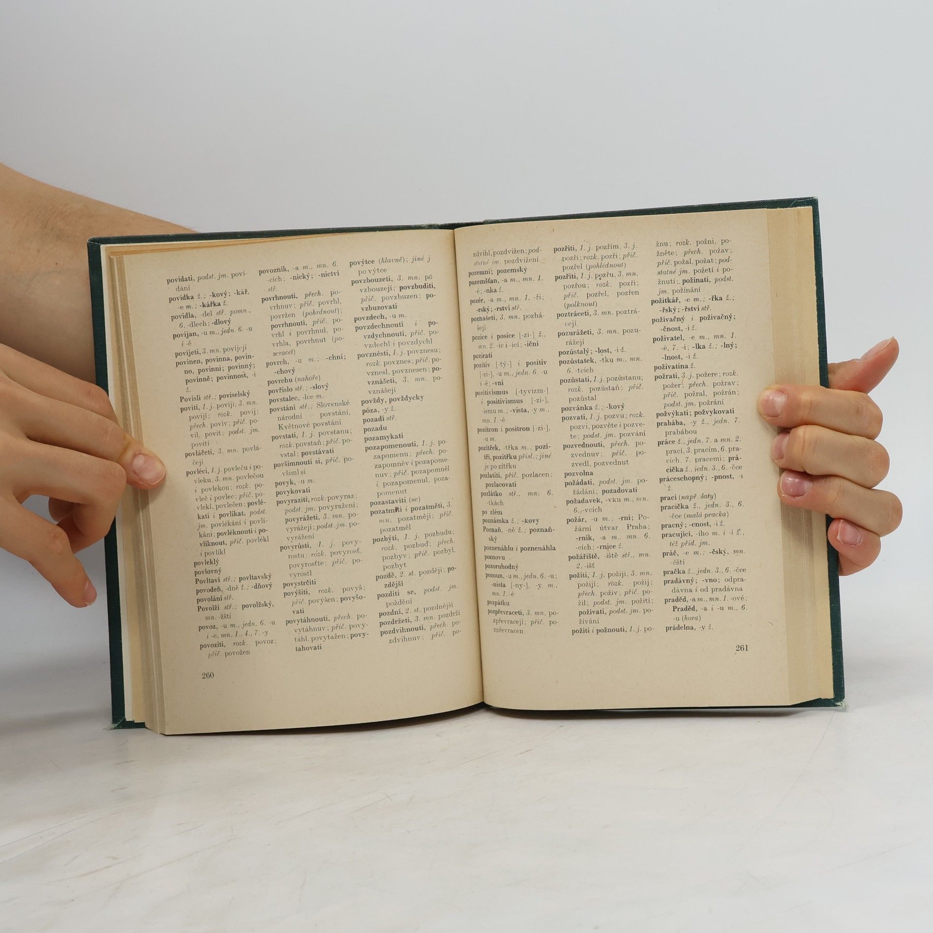Autorenkollektiv Pravidla českého pravopisu