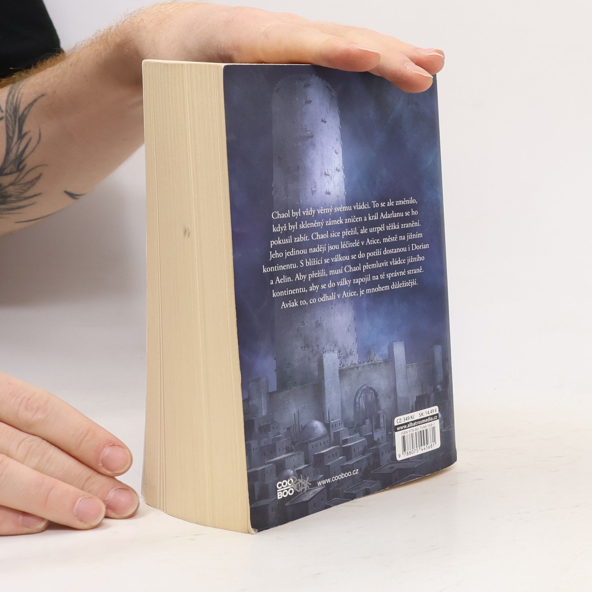 Sarah J. Maas Věž úsvitu
