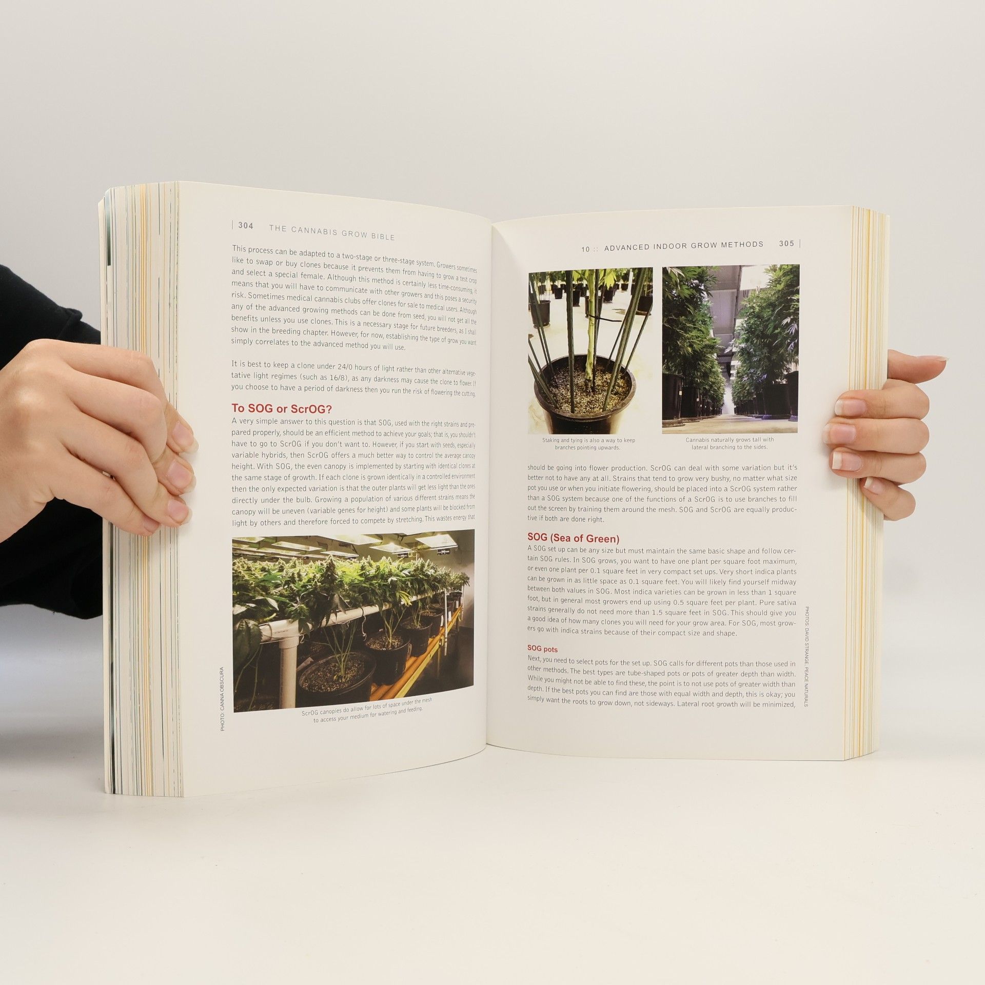 Greg Green The Cannabis Grow Bible: The Definitive Guide to Growing Marijuana for Recreational and Medicinal Use - 3rd Edition