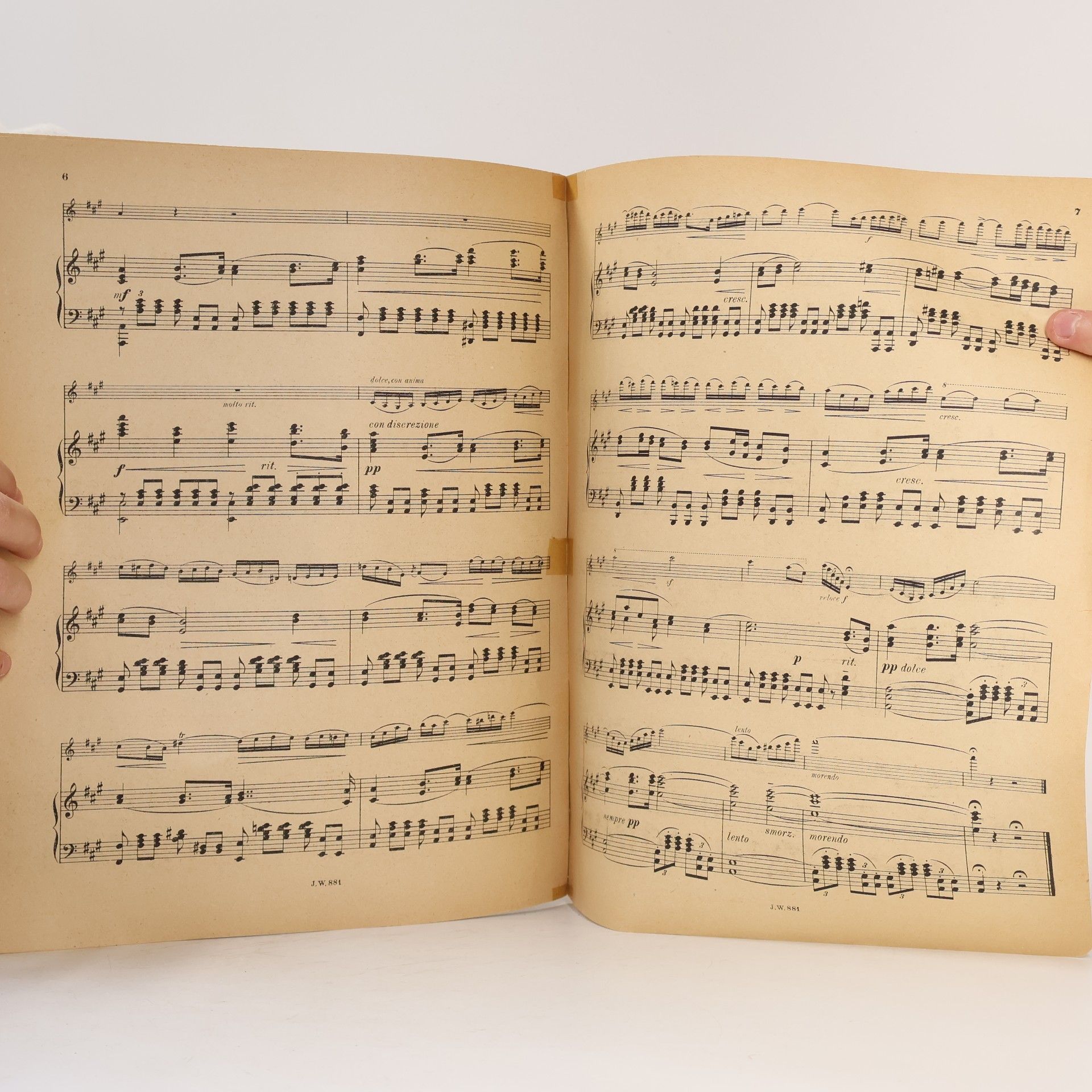 Bedřich Smetana Phantasie über das Violinsolo und Zdenkös Traum aus der Oper "Dalibor"