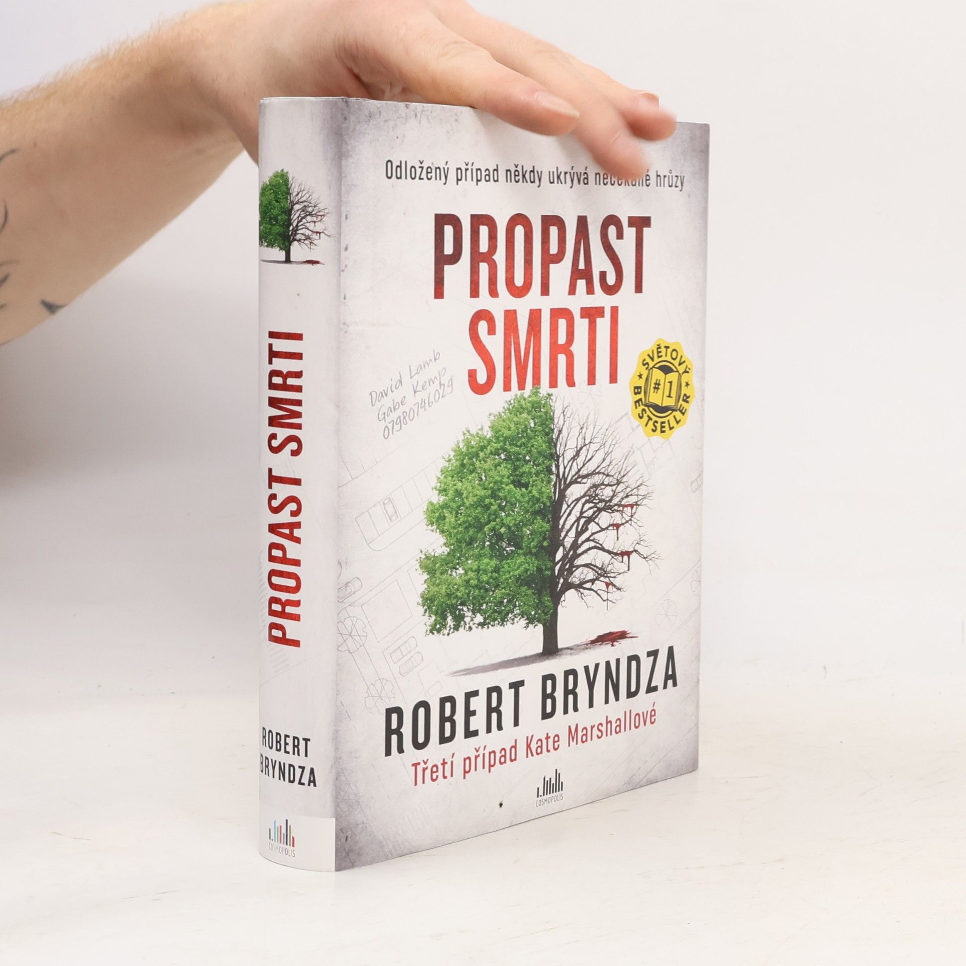 Robert Bryndza Propast smrti