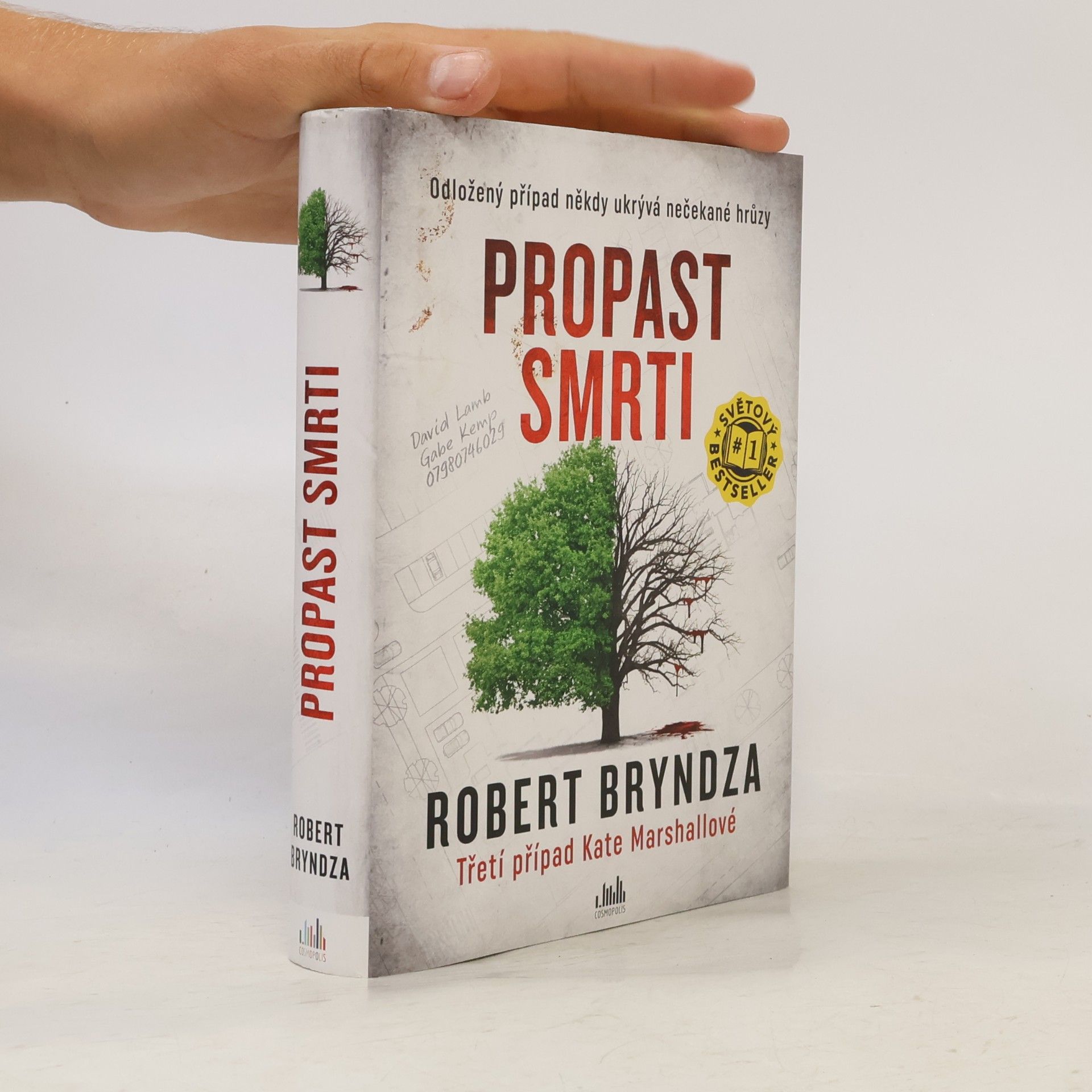 Robert Bryndza Propast smrti