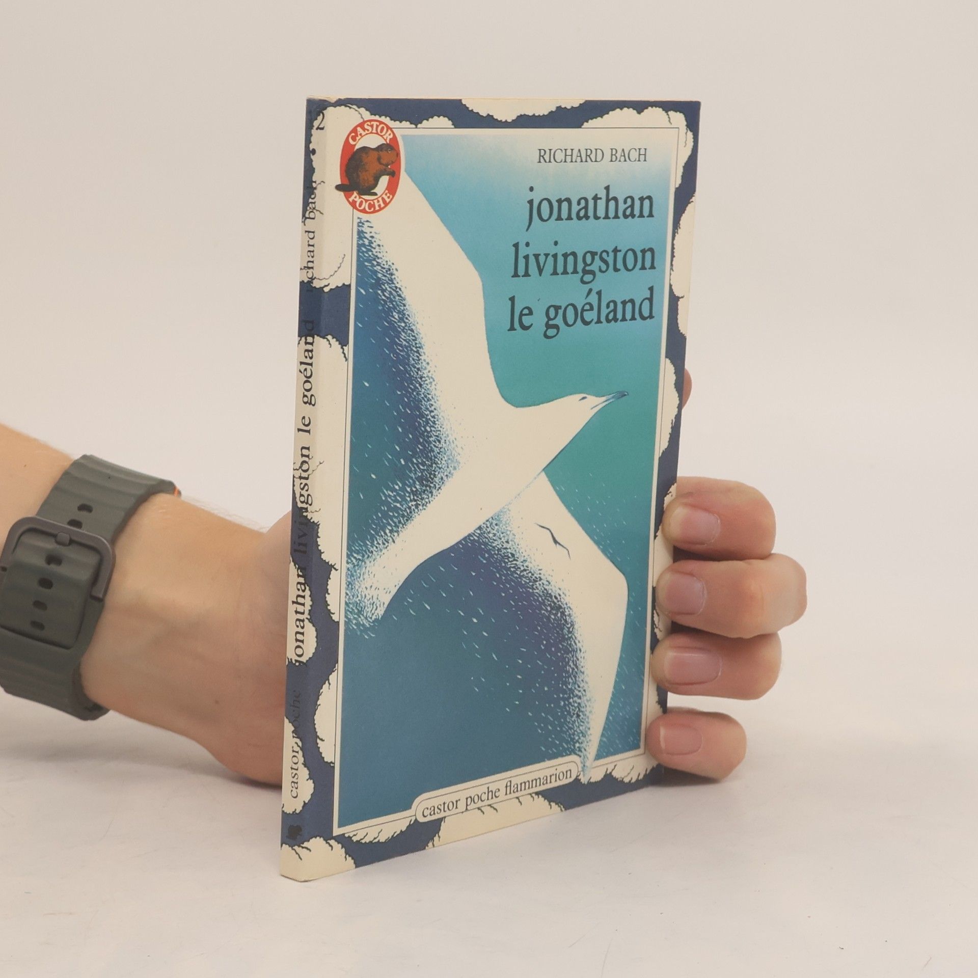 Richard Bach Jonathan Livingston le goéland