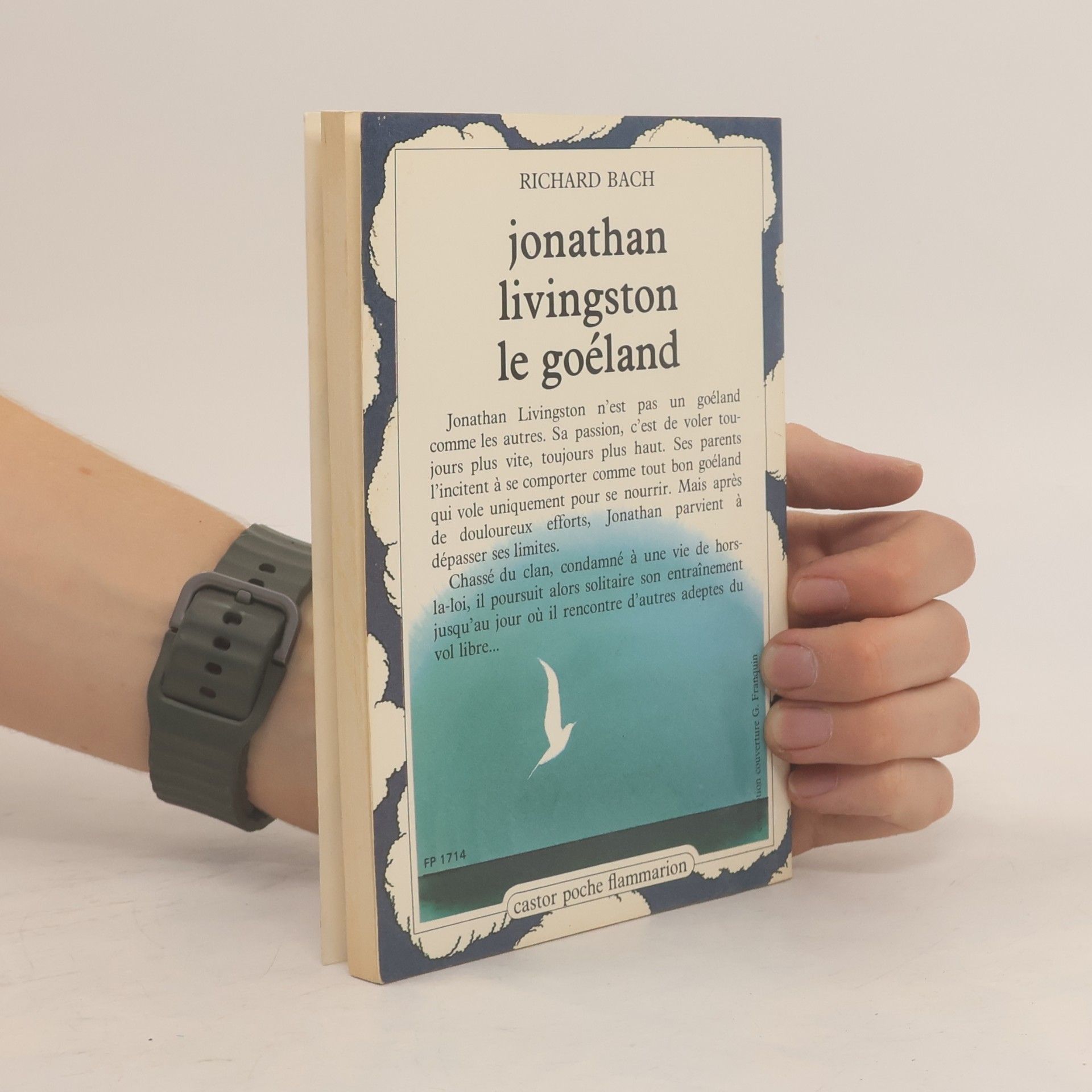 Richard Bach Jonathan Livingston le goéland