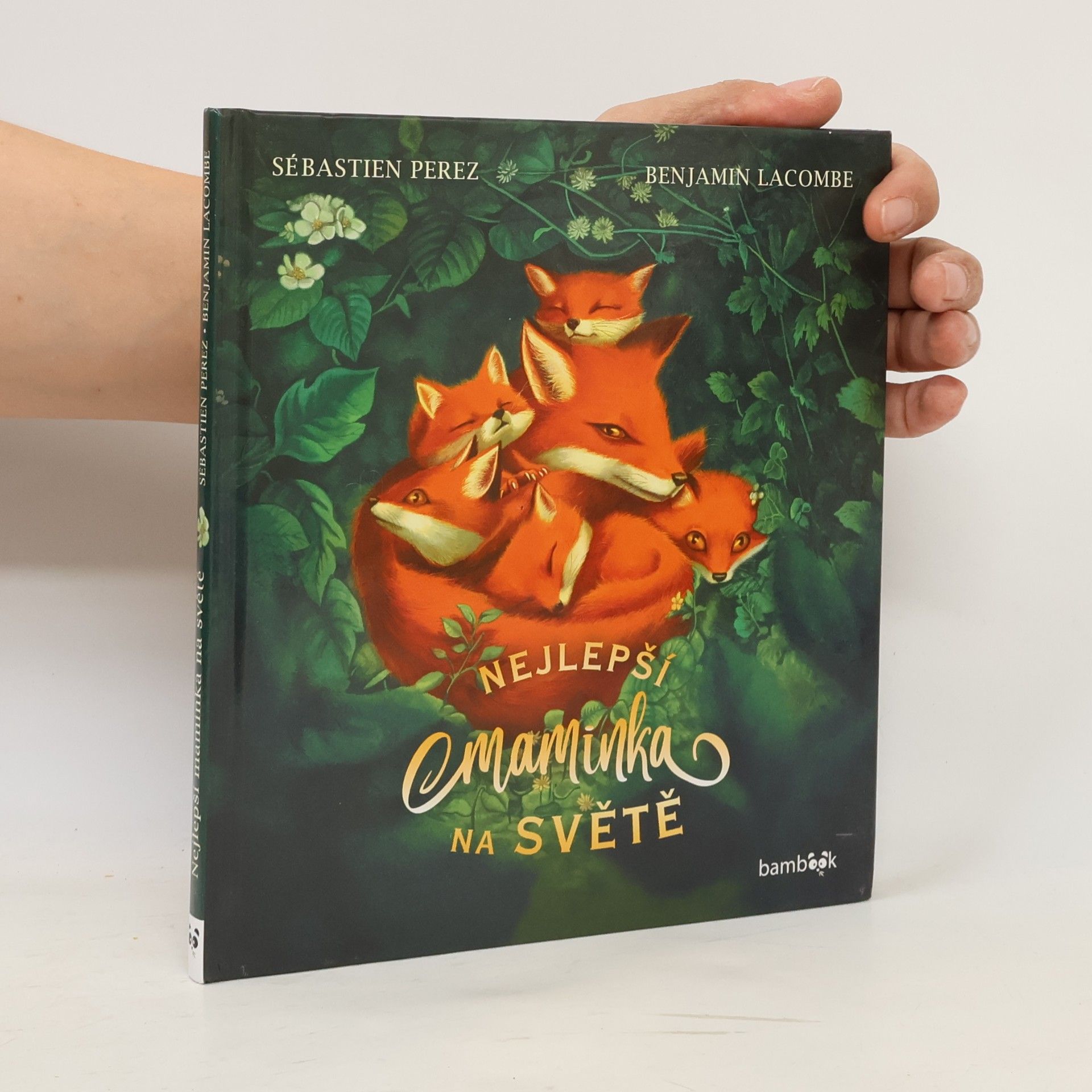 Benjamin Lacombe Nejlepší maminka na světě