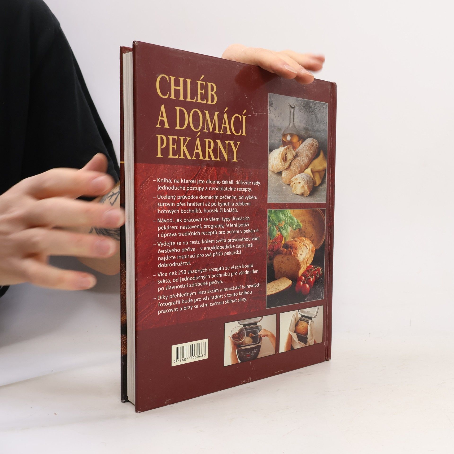 Collectif d'auteurs Chléb a domácí pekárny
