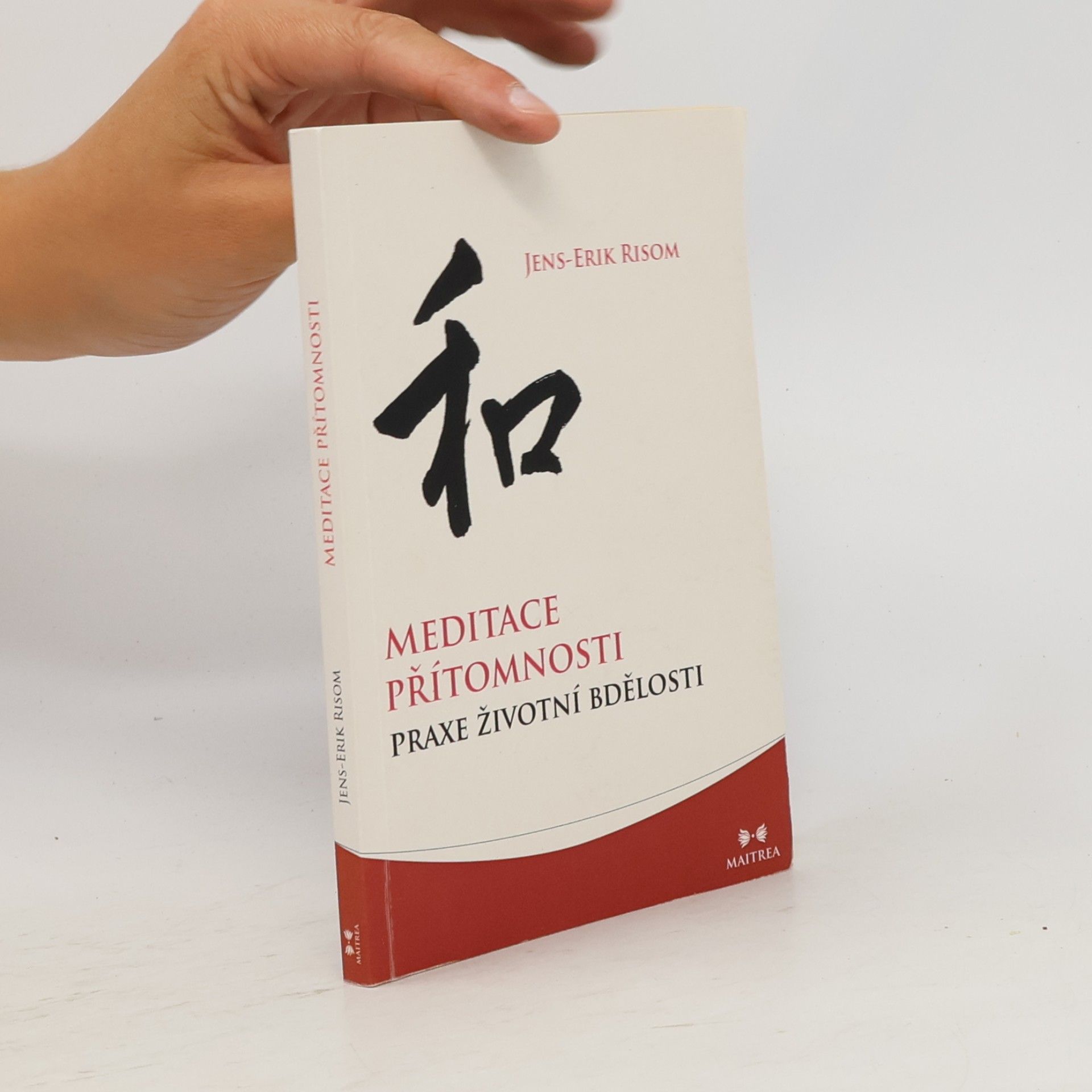 JensErik Risom Meditace přítomnosti