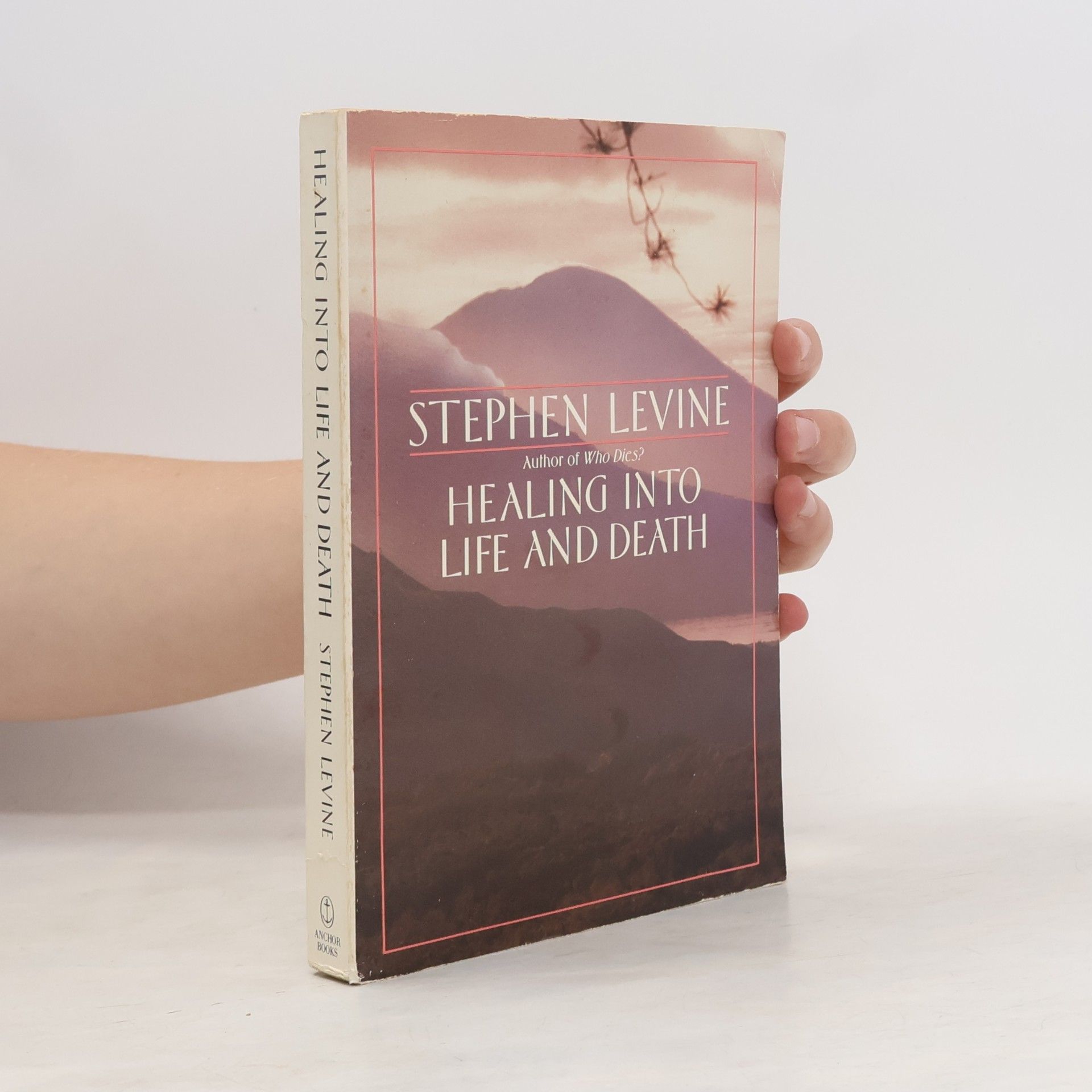 Stephen Levine Healing into Life and Death