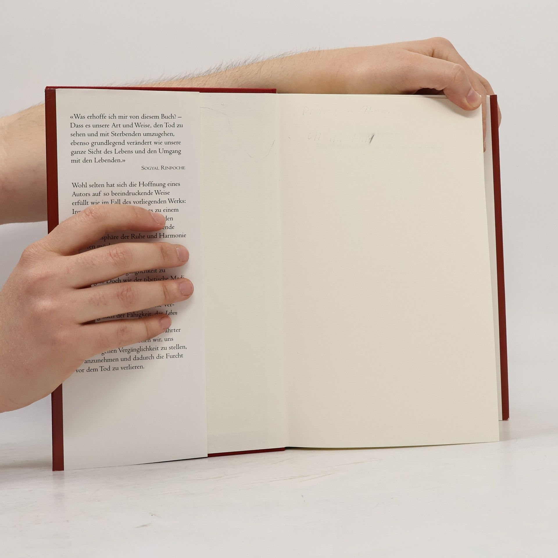 Sogyal Rinpoche Das tibetische Buch vom Leben und vom Sterben