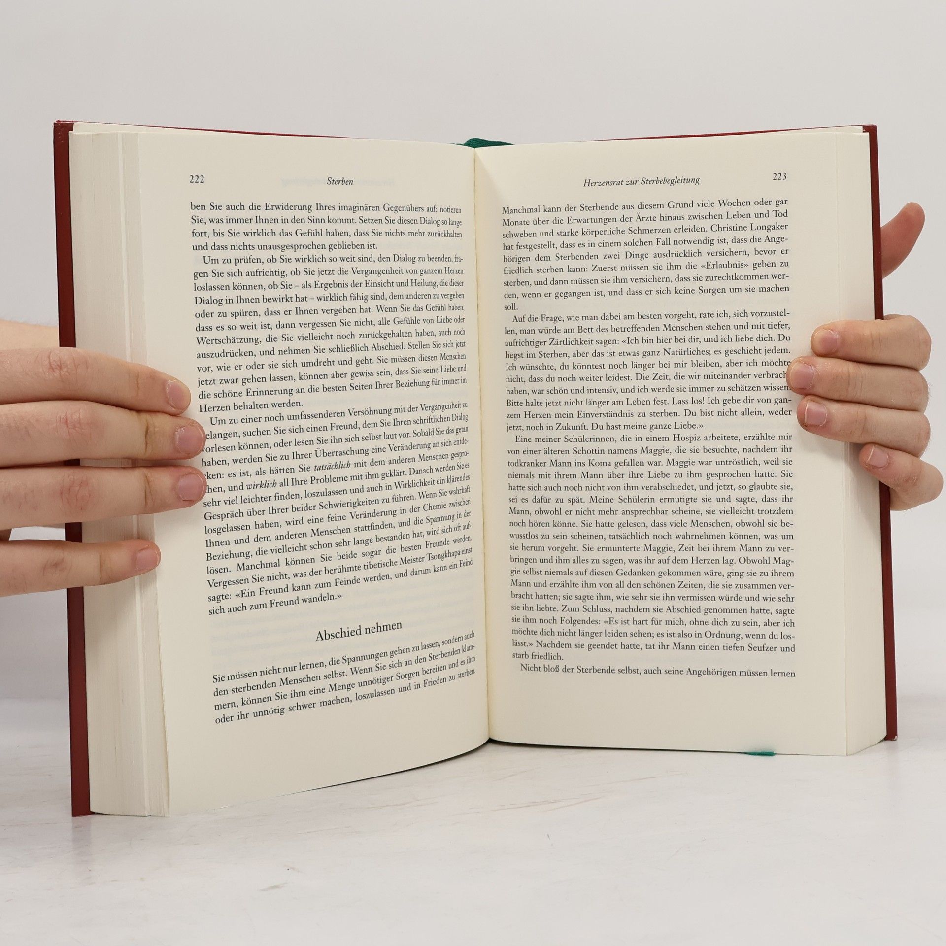 Sogyal Rinpoche Das tibetische Buch vom Leben und vom Sterben