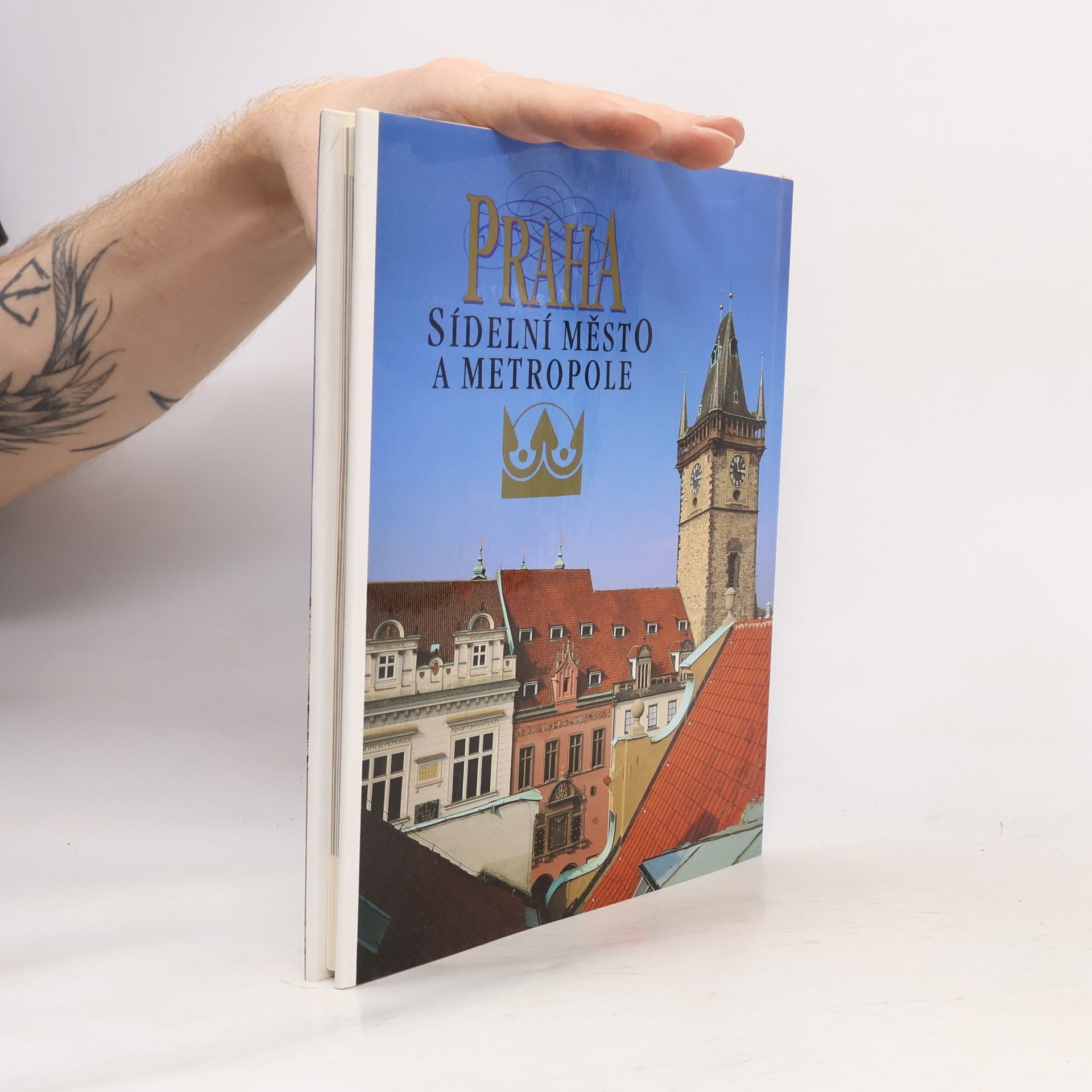 Petr Čornej Praha sídelní město a metropole