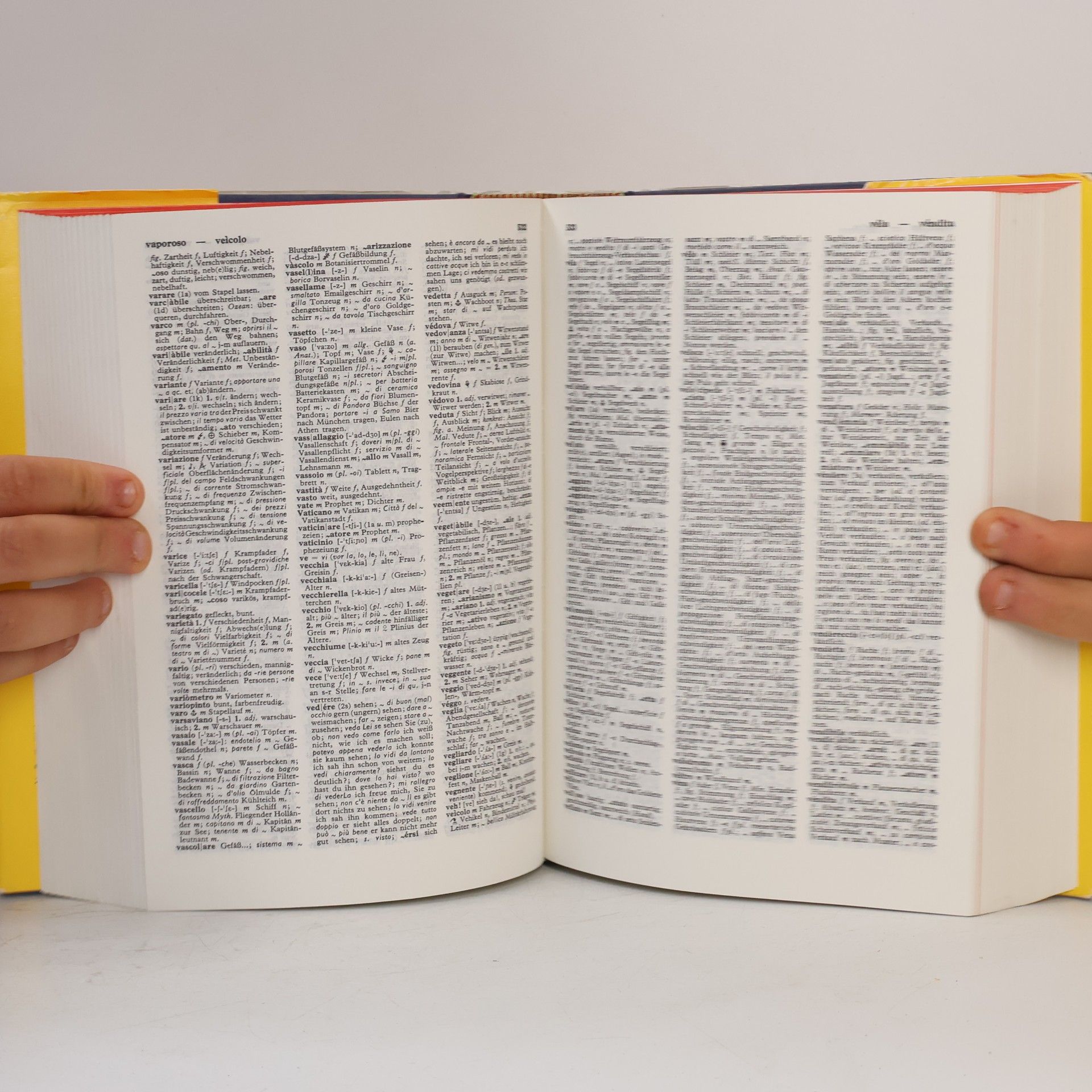 Paolo Giovannelli Langenscheidts Handwörterbuch Italienisch