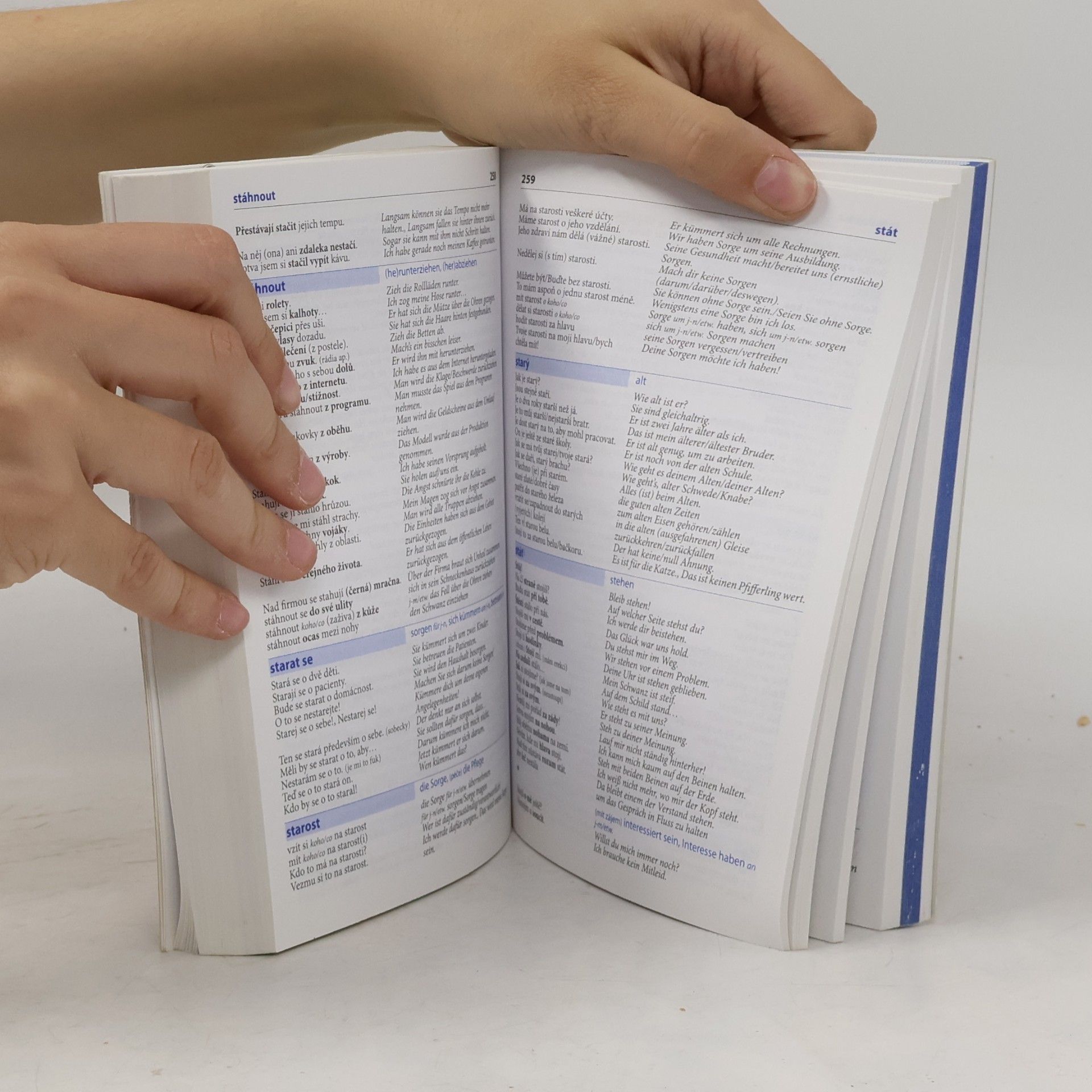 Autores varios Česko-německý mluvník