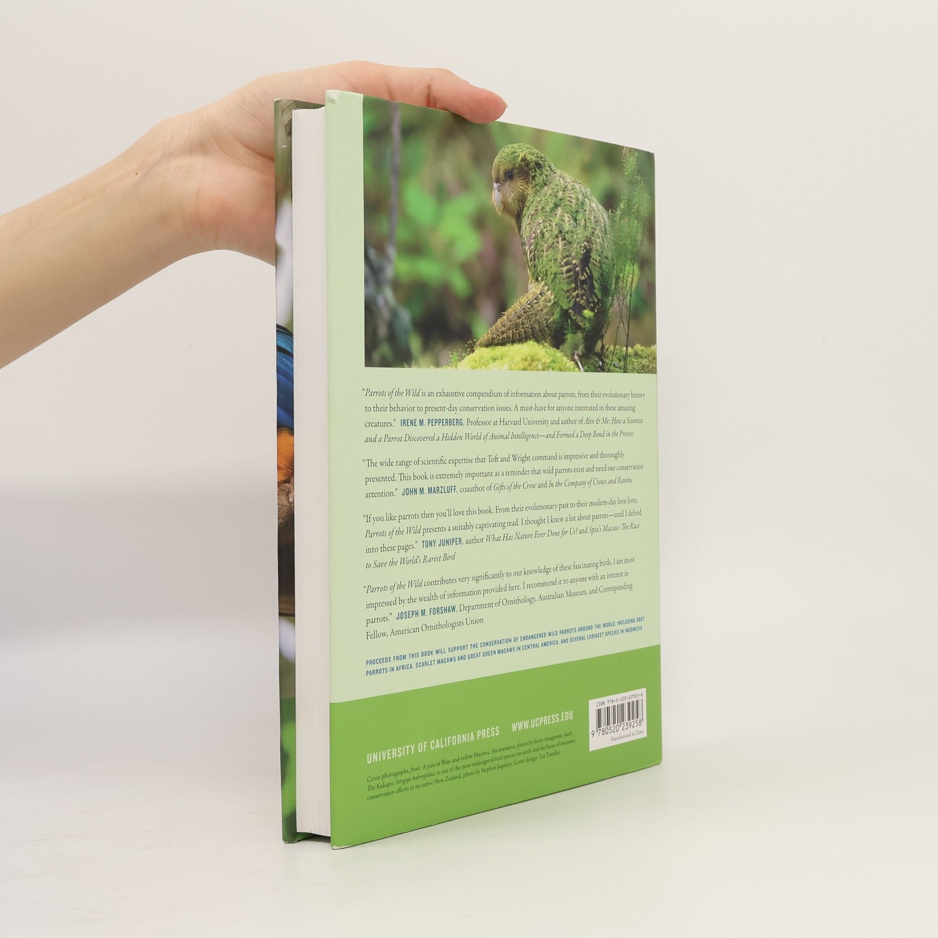 Timothy F. Wright Parrots of the Wild