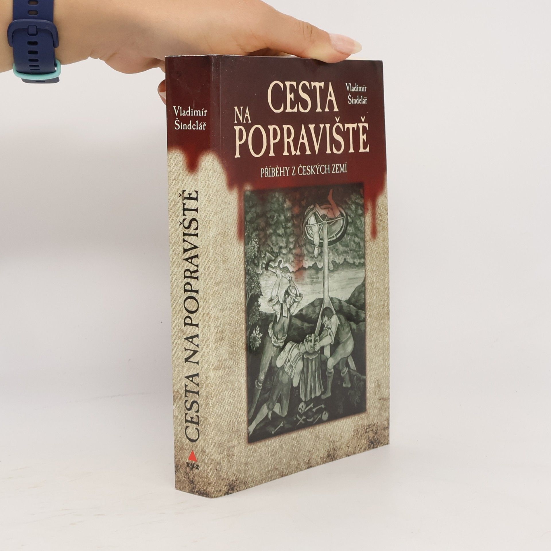 Vladimír Šindelář Cesta na popraviště : příběhy z českých zemí