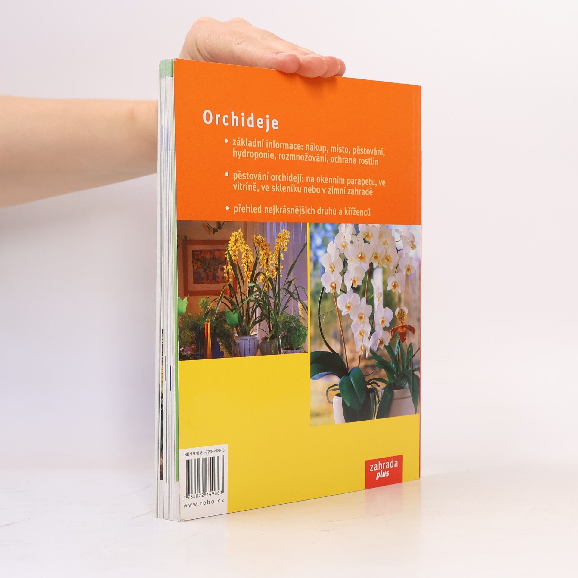 Jörn Pinske Orchideje: Nejkrásnější druhy a hybridy: Výběr, pěstování