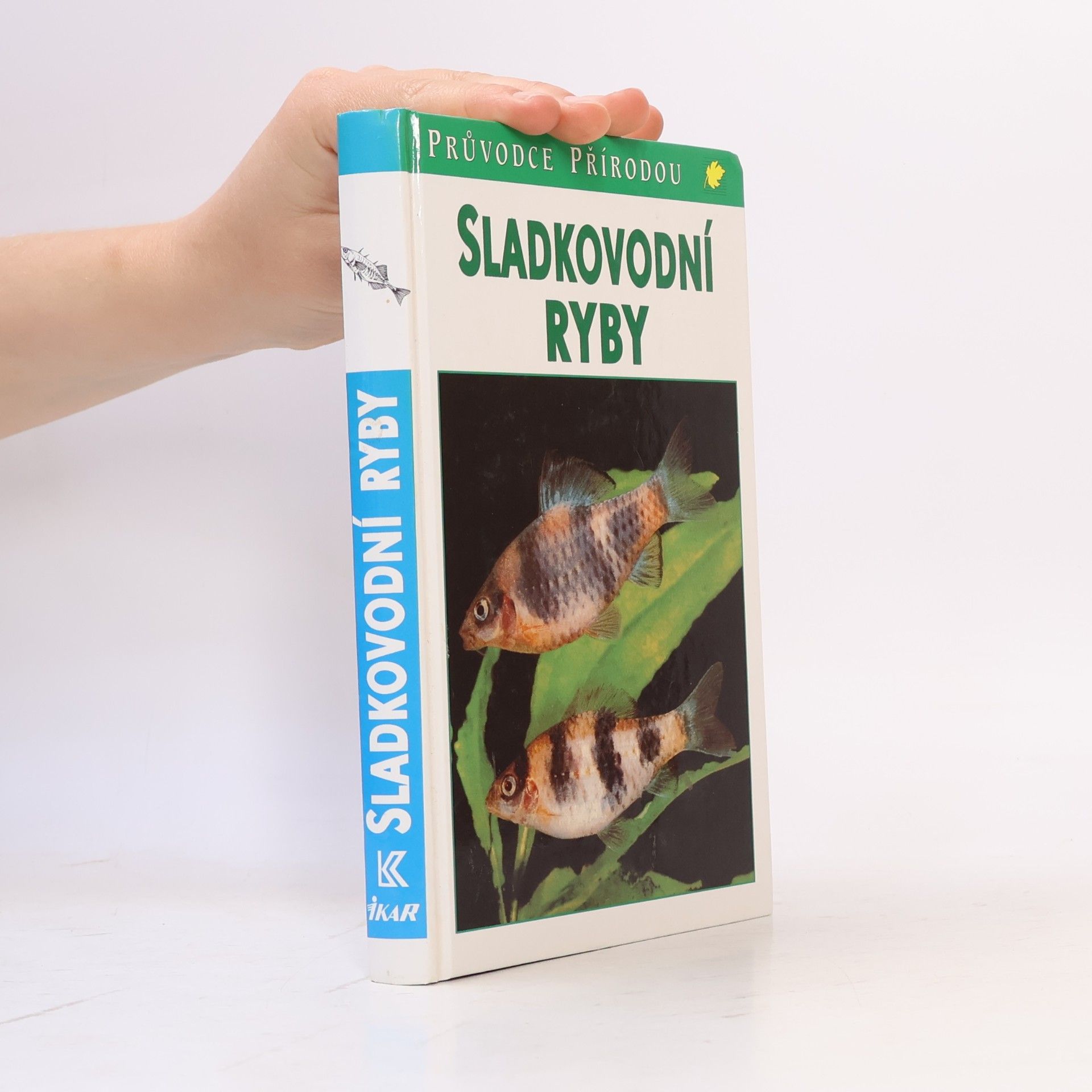 Various authors Sladkovodní ryby v evropských vodách