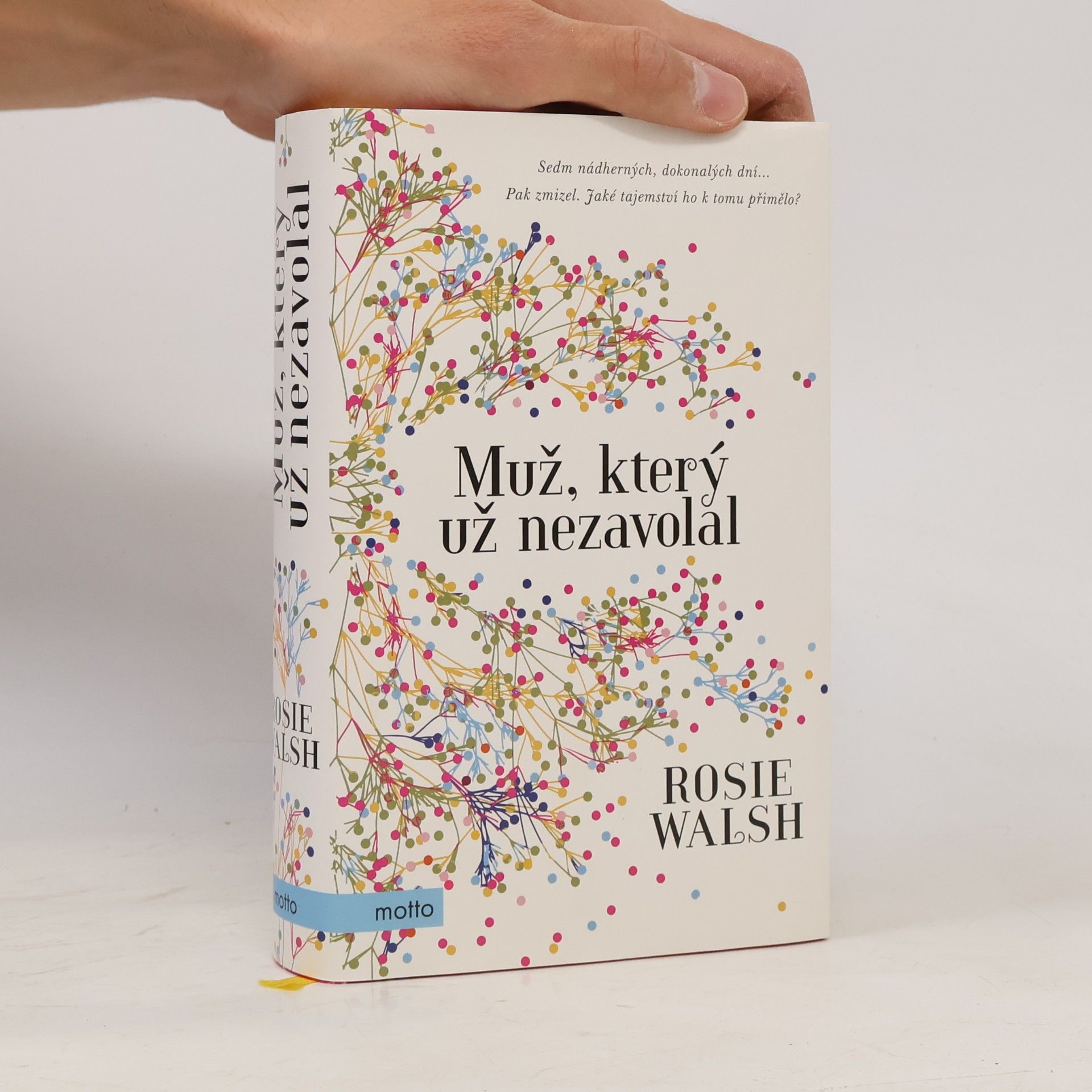 Rosie Walsh Muž, který už nezavolal