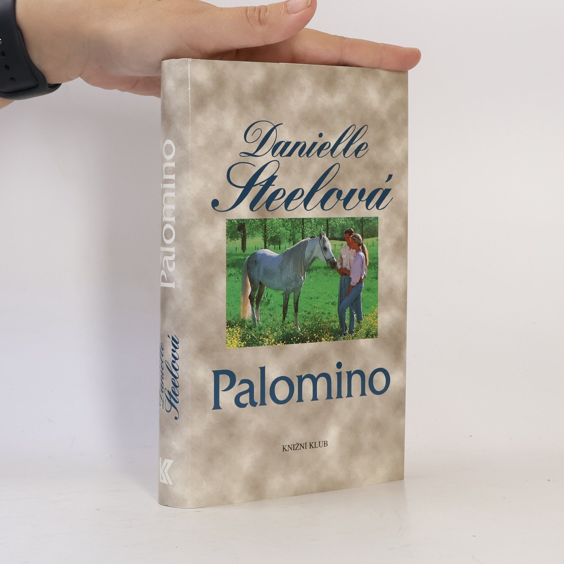 Danielle Steelová Palomino