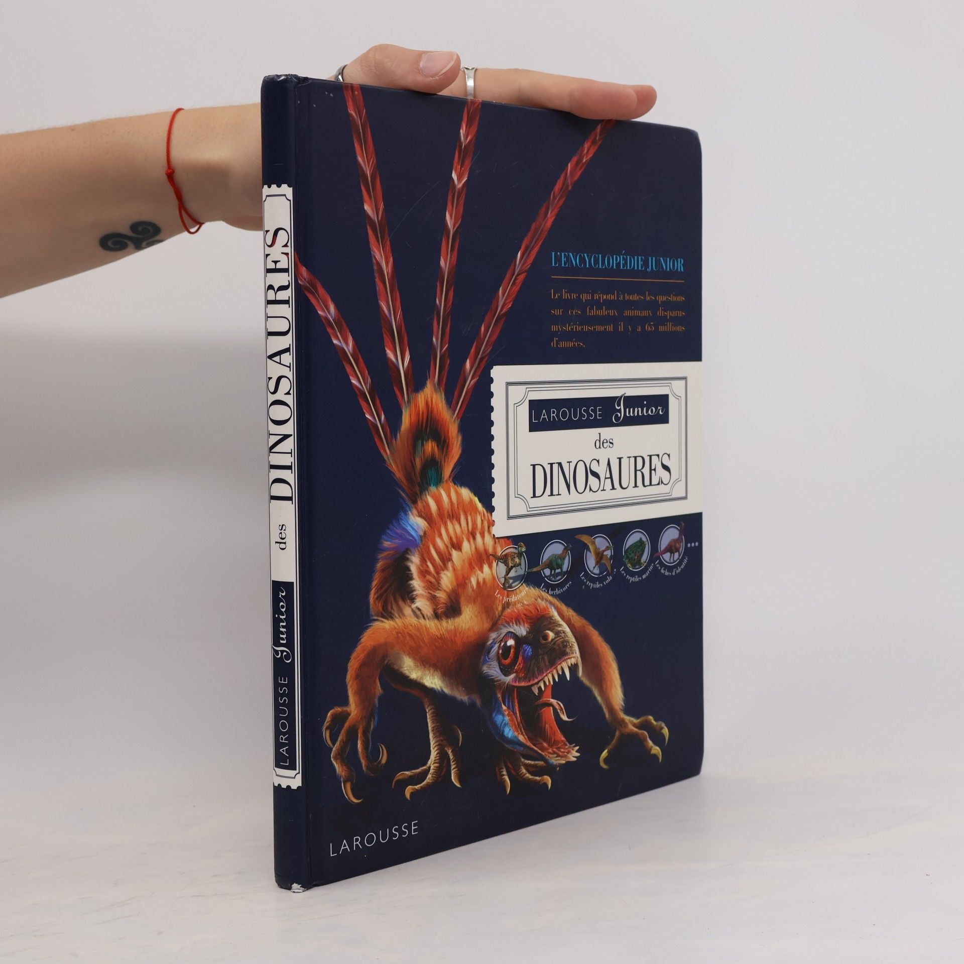 Jinny Johnson Larousse Junior des dinosaures