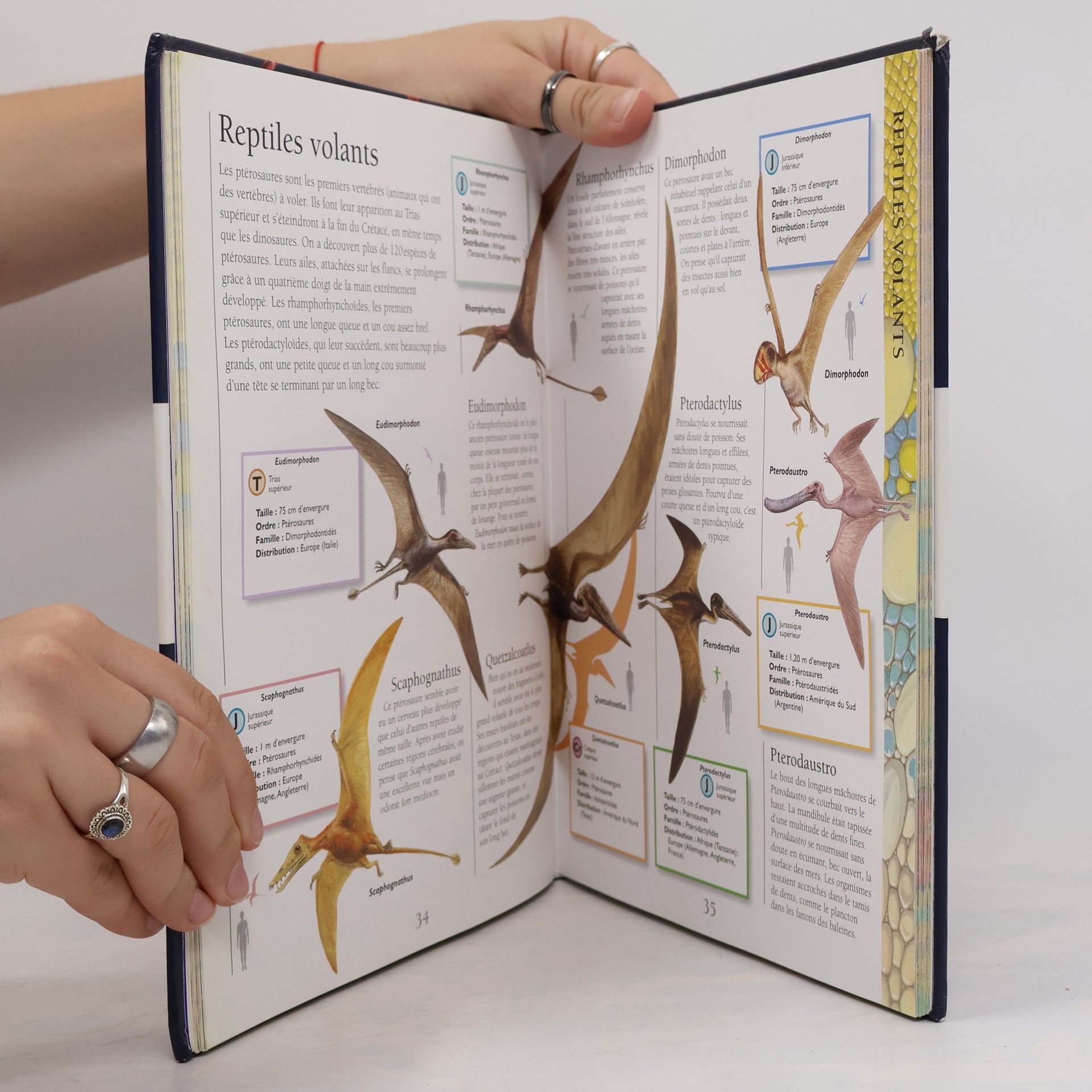 Jinny Johnson Larousse Junior des dinosaures
