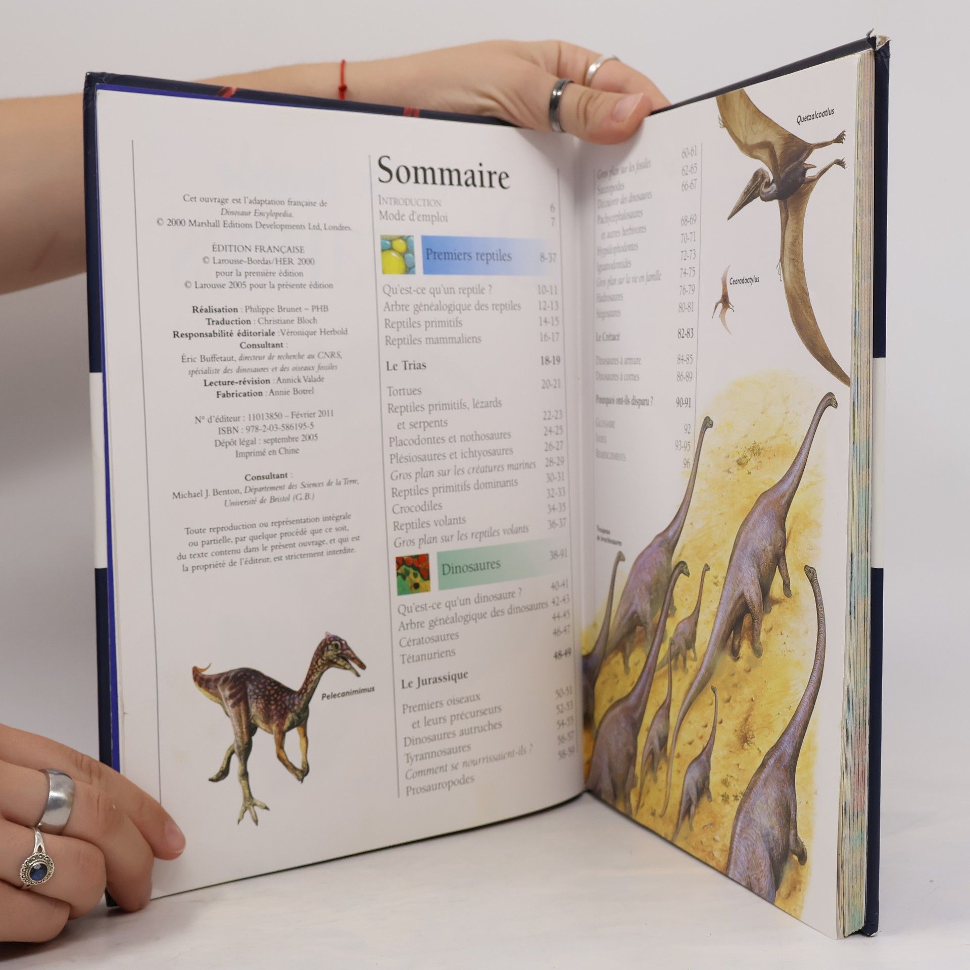 Jinny Johnson Larousse Junior des dinosaures