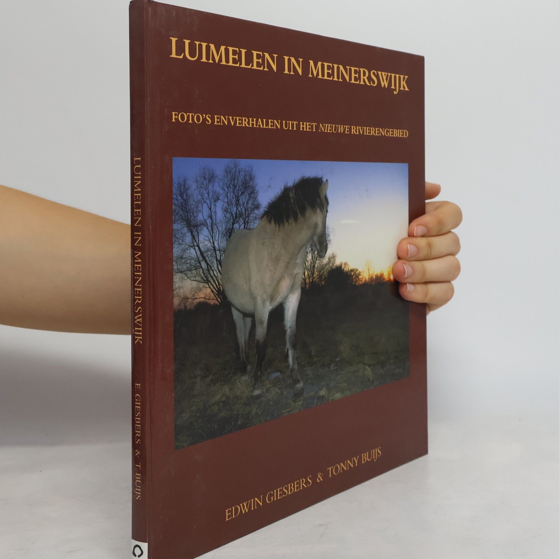 Edwin Giesbers Luimelen in Meinerswijk