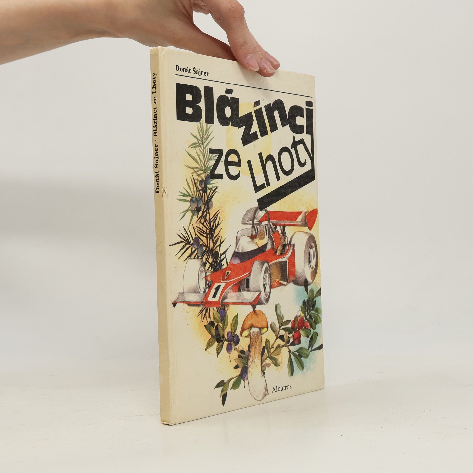 Donát Šajner Blázínci ze Lhoty
