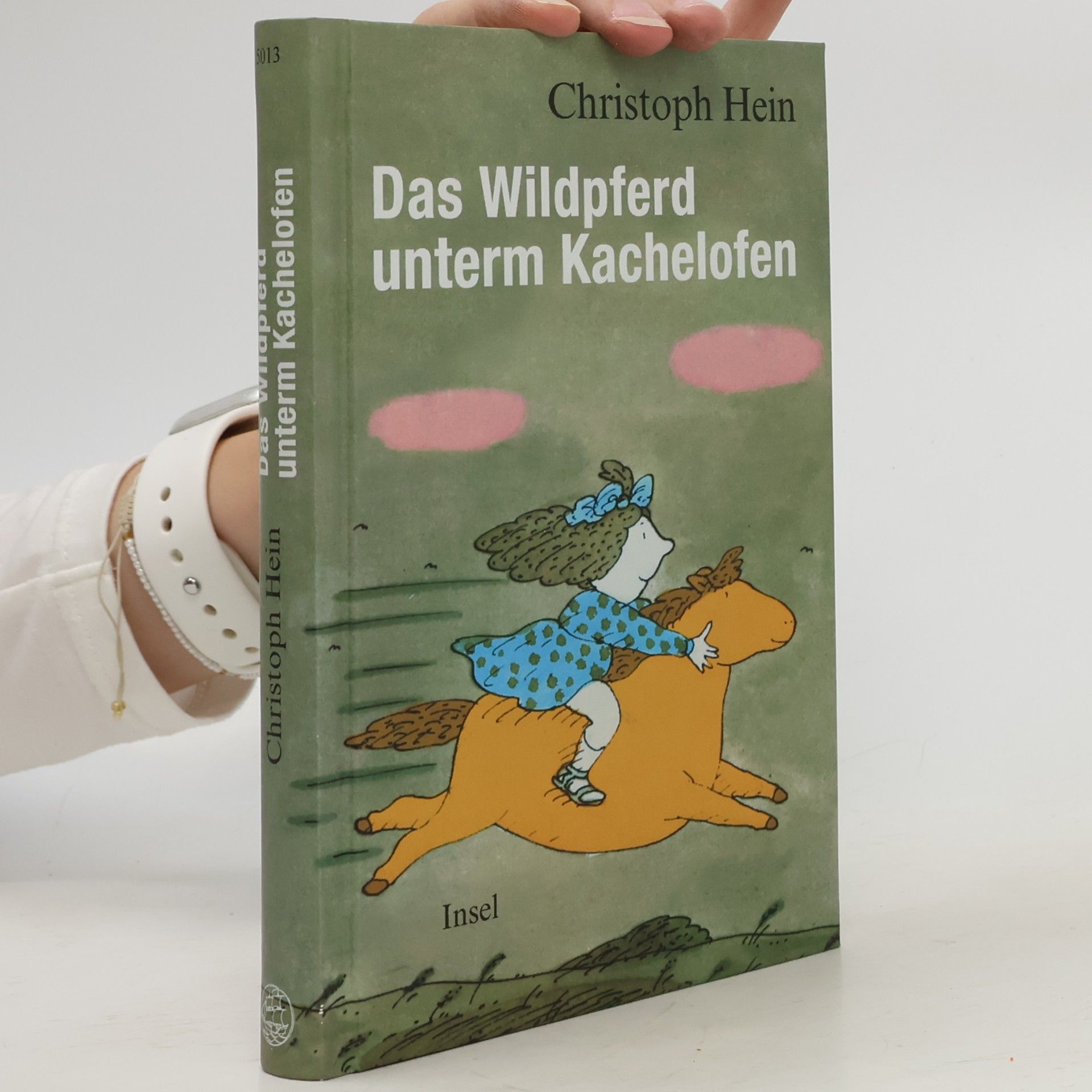 Christoph Hein Das Wildpferd unterm Kachelofen