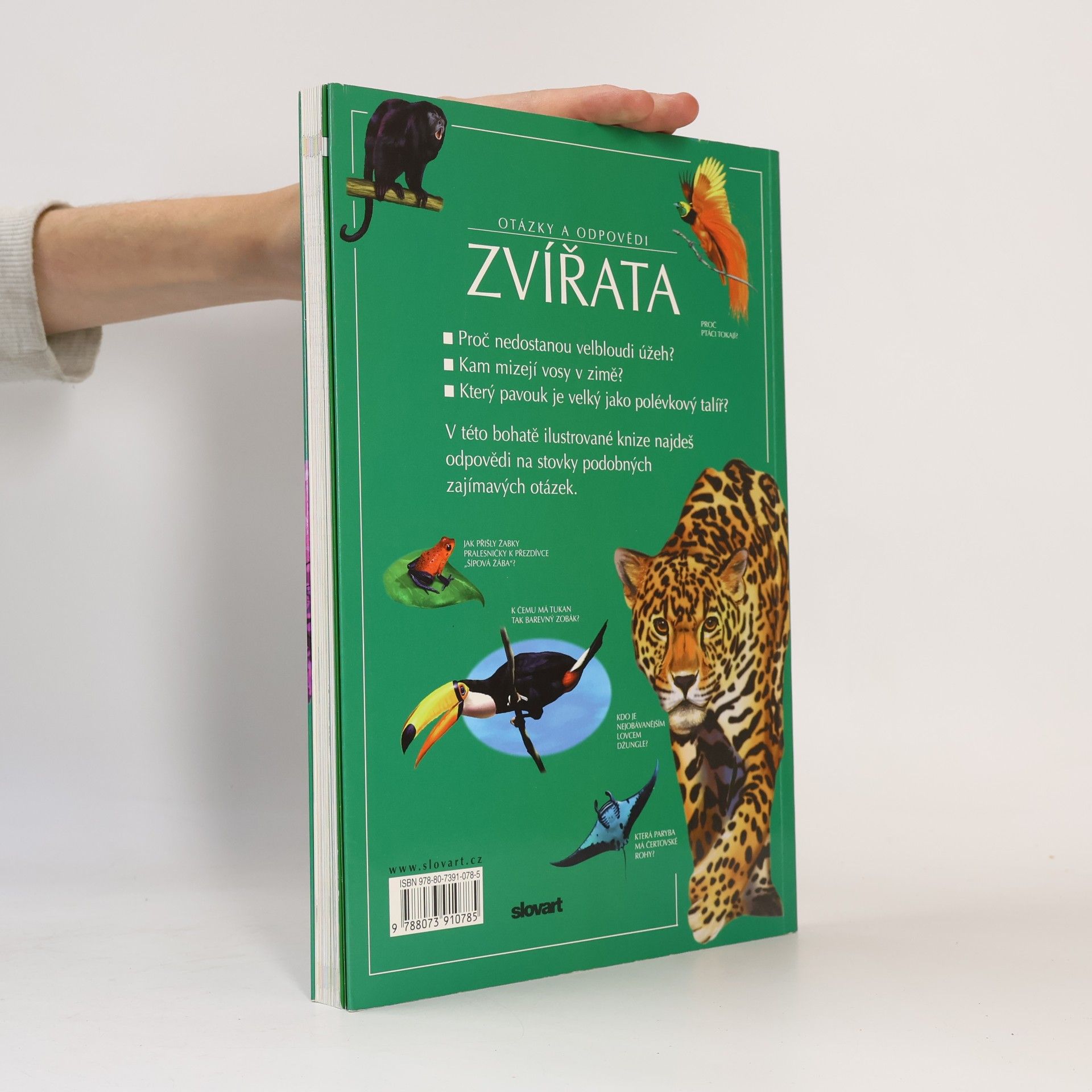 Jen Green Zvířata. Otázky a odpovědi