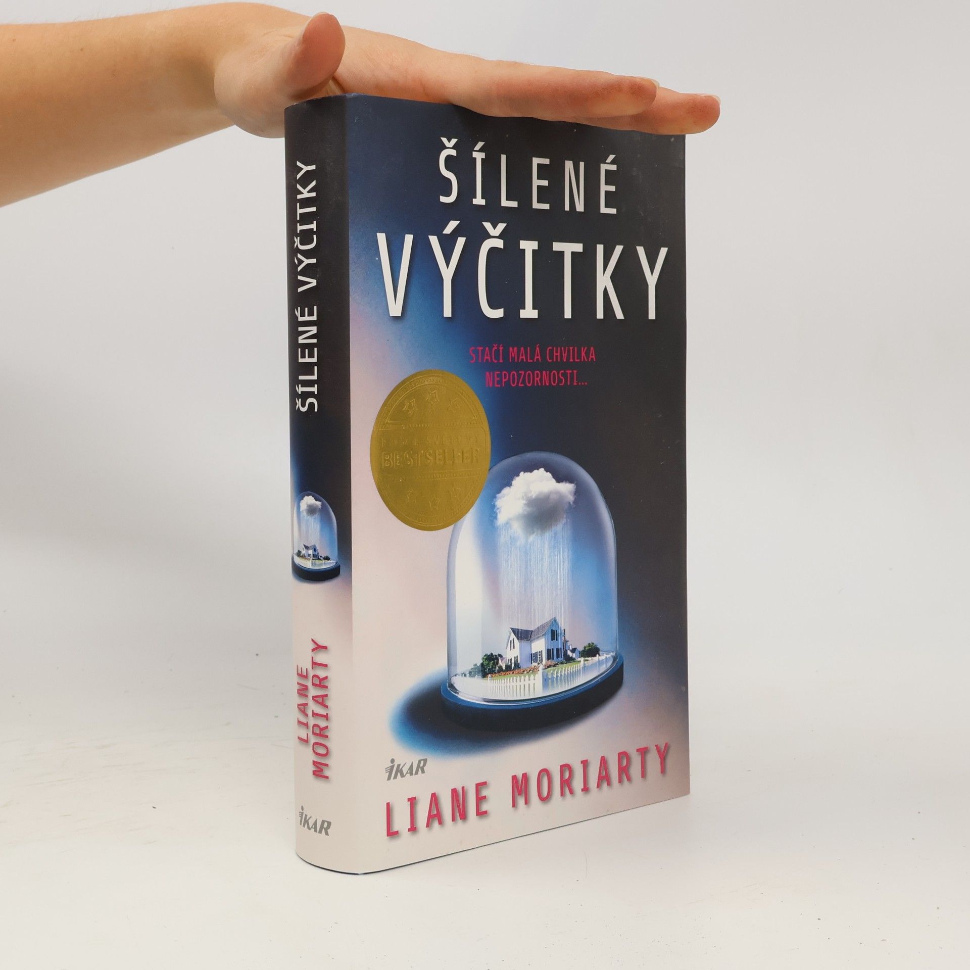 Liane Moriarty Šílené výčitky