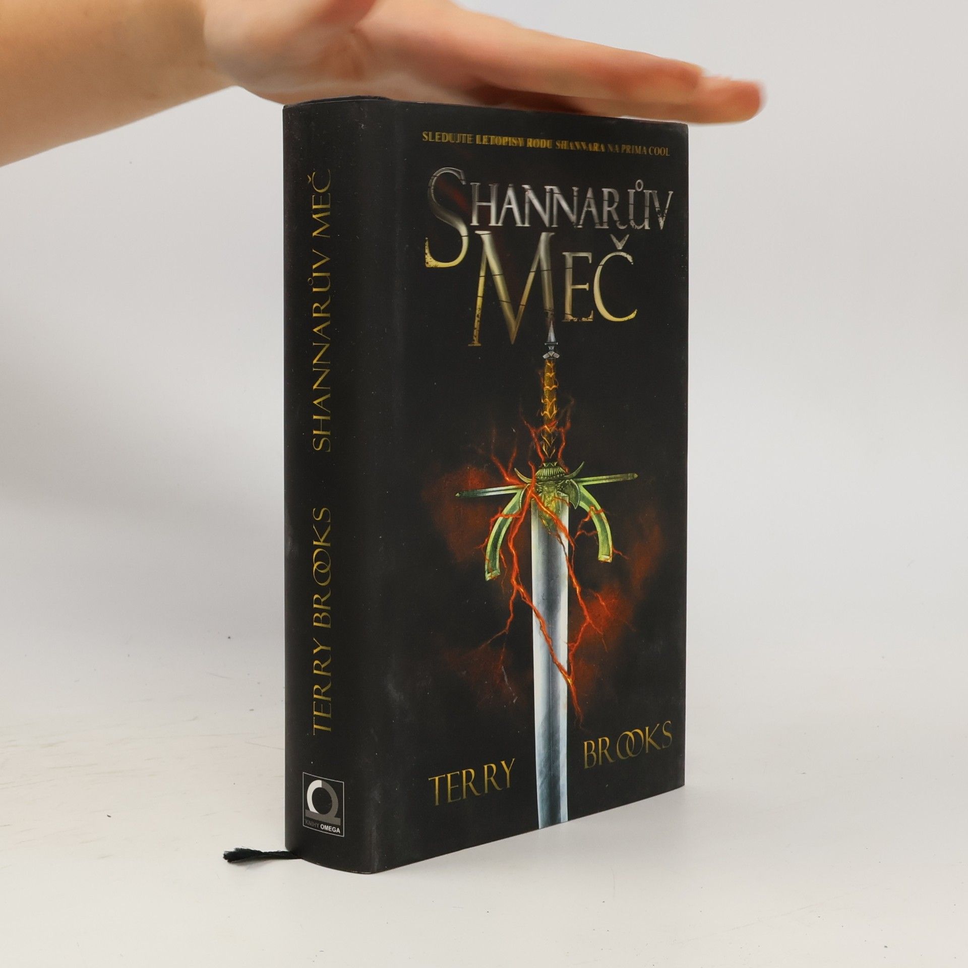Terry Brooks Shannarův meč