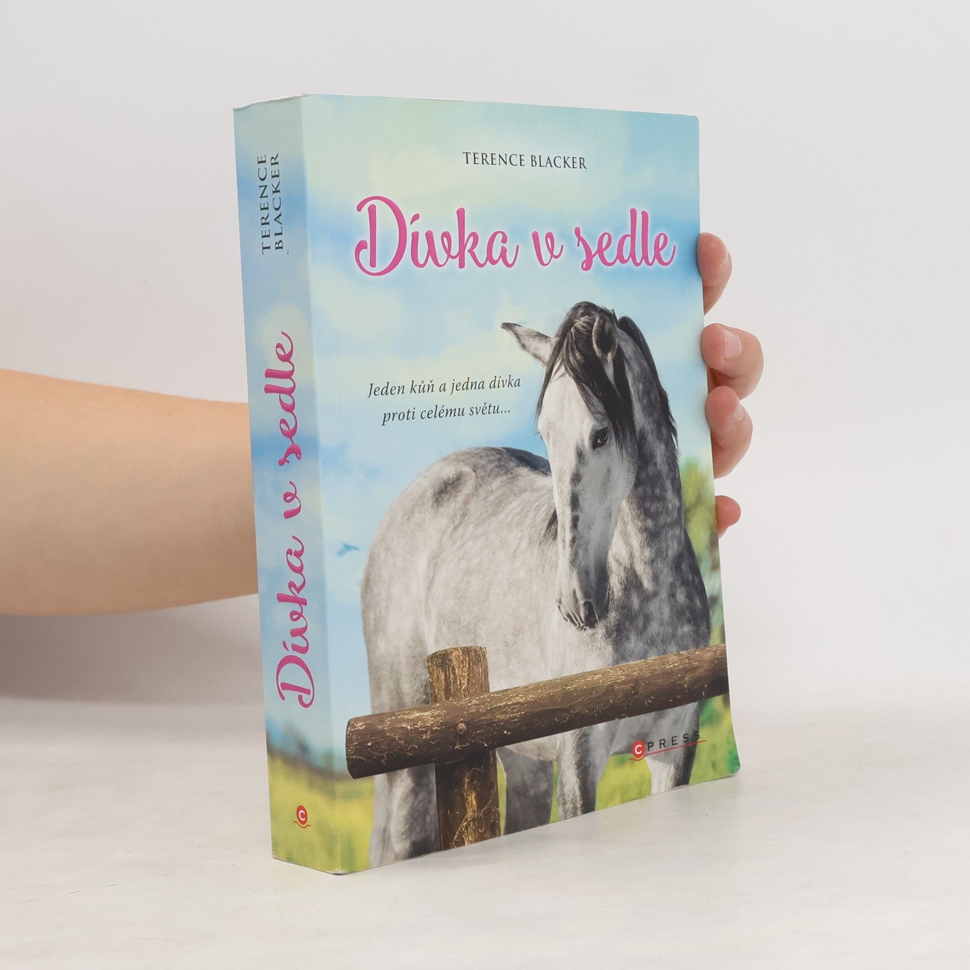 Terence Blacker Dívka v sedle