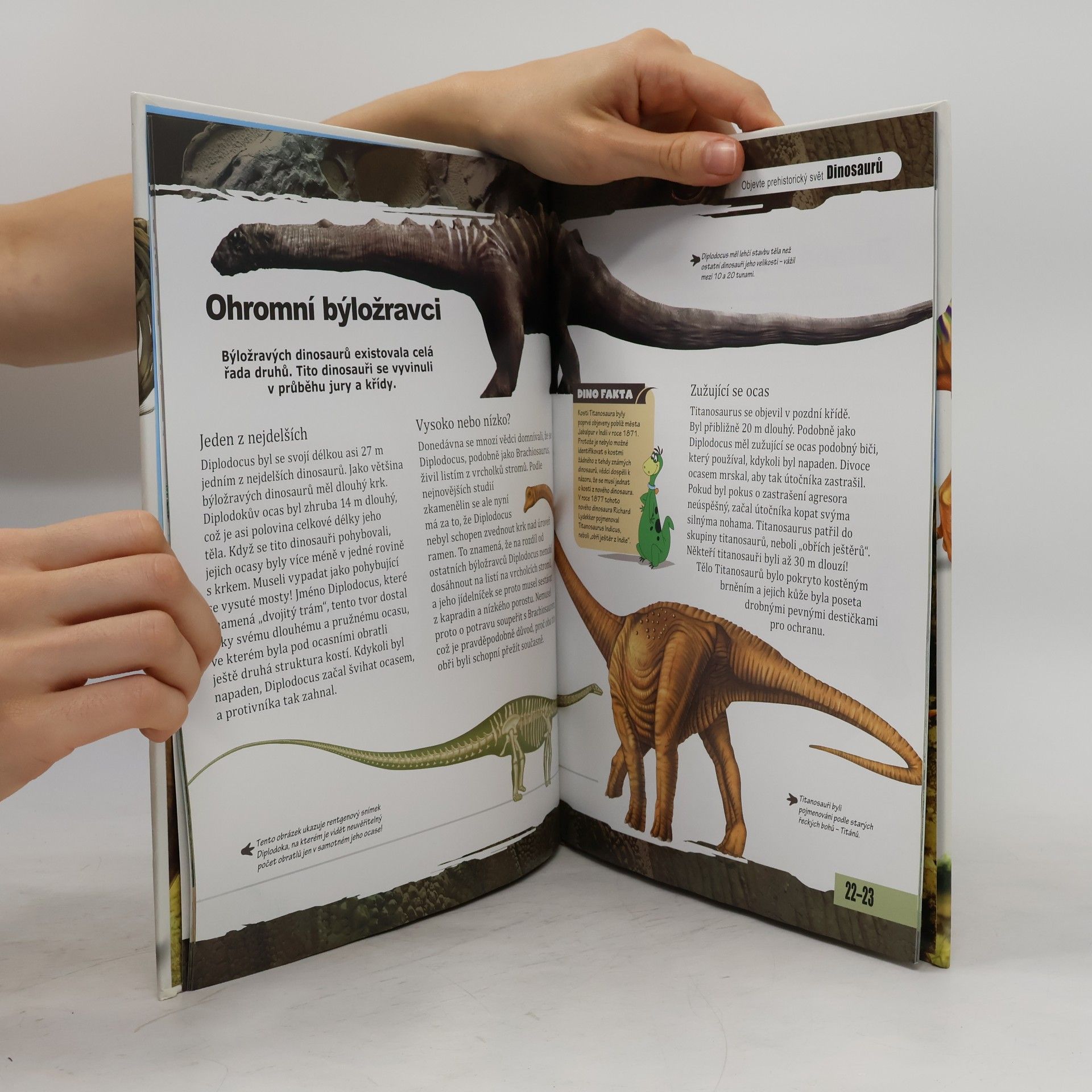 Kolektiv autorů Nové obzory - Dinosauři: Dobrodružství ve světě dinosaurů Dinosauři Objevte prehistorický svět dinosaurů