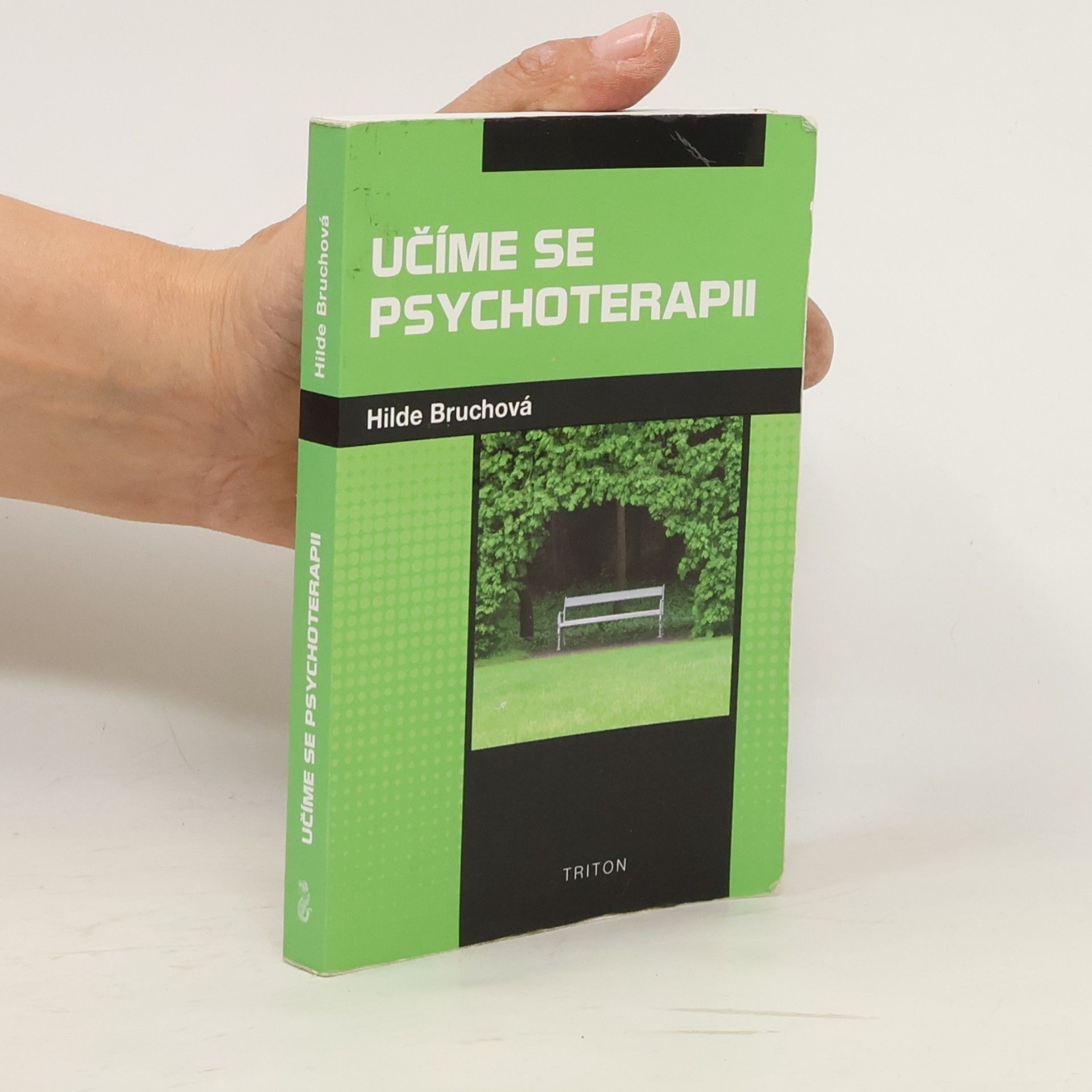Hilde Bruche Učíme se psychoterapii