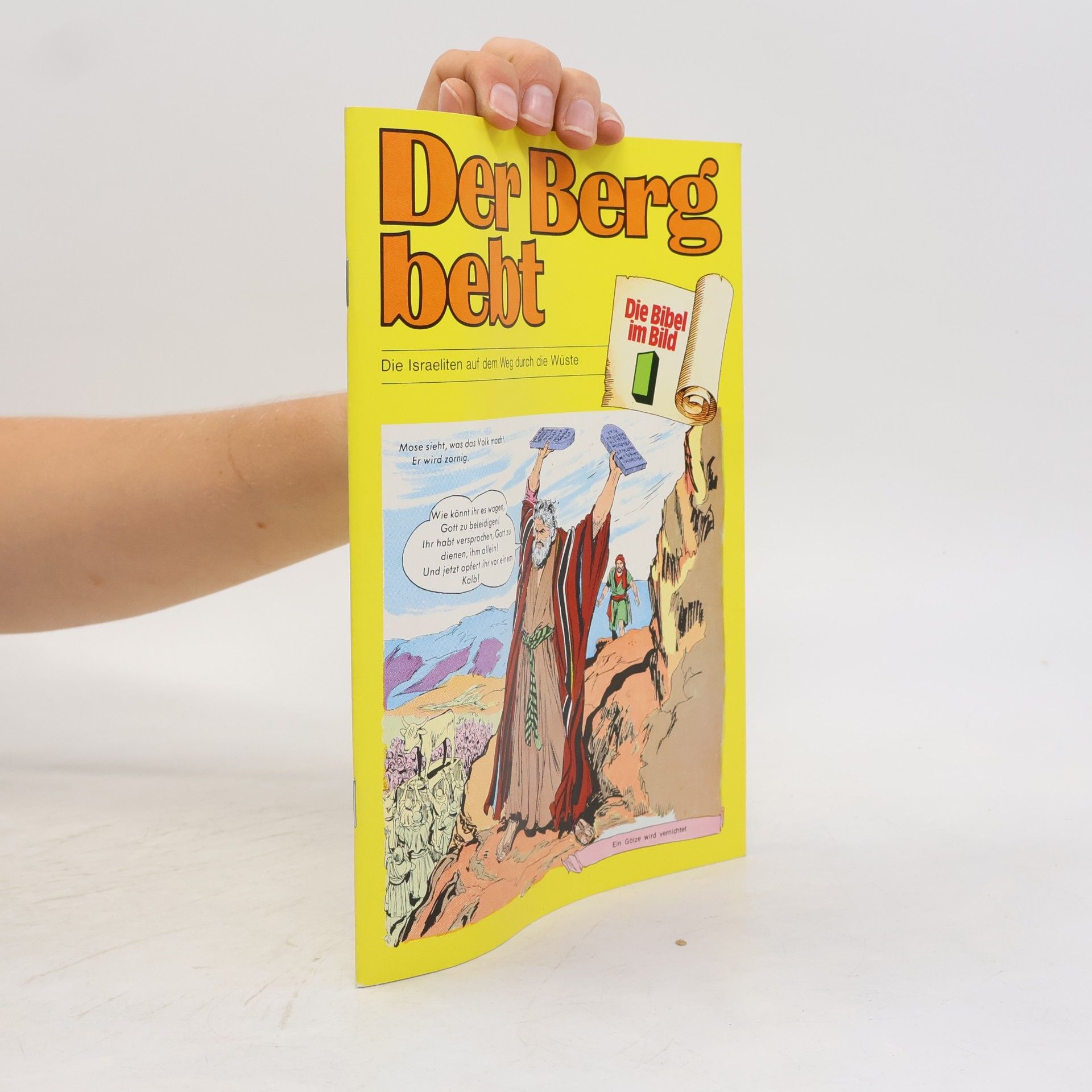 Autores varios Die Bibel im Bild
