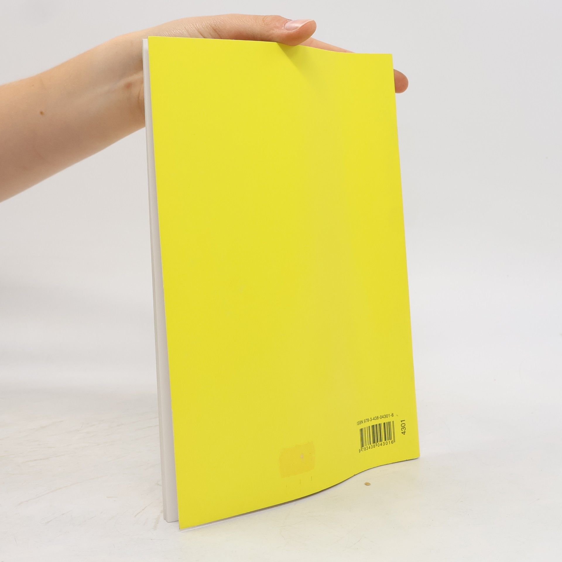 Die Bibel im Bild
