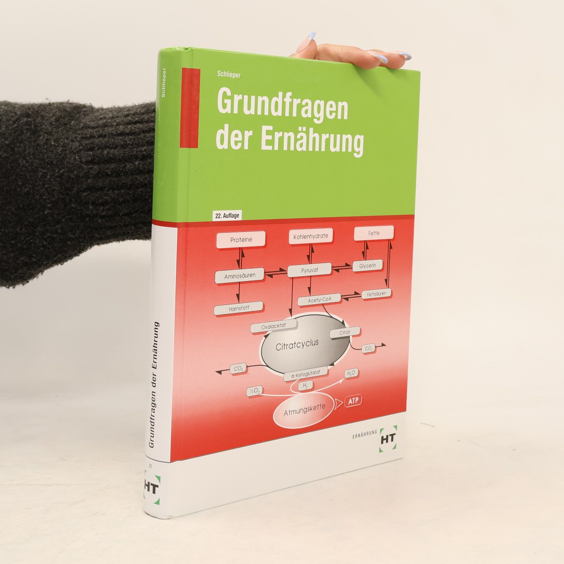 Grundfragen der Ernährung