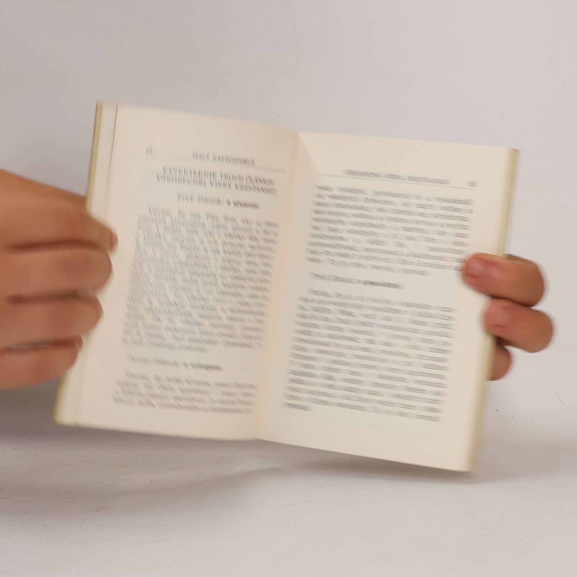 Various authors Malý katechizmus Dr. Martina Luthera a malý modlitebník