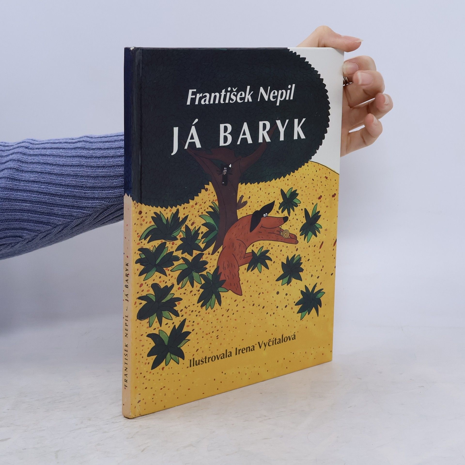 Já Baryk