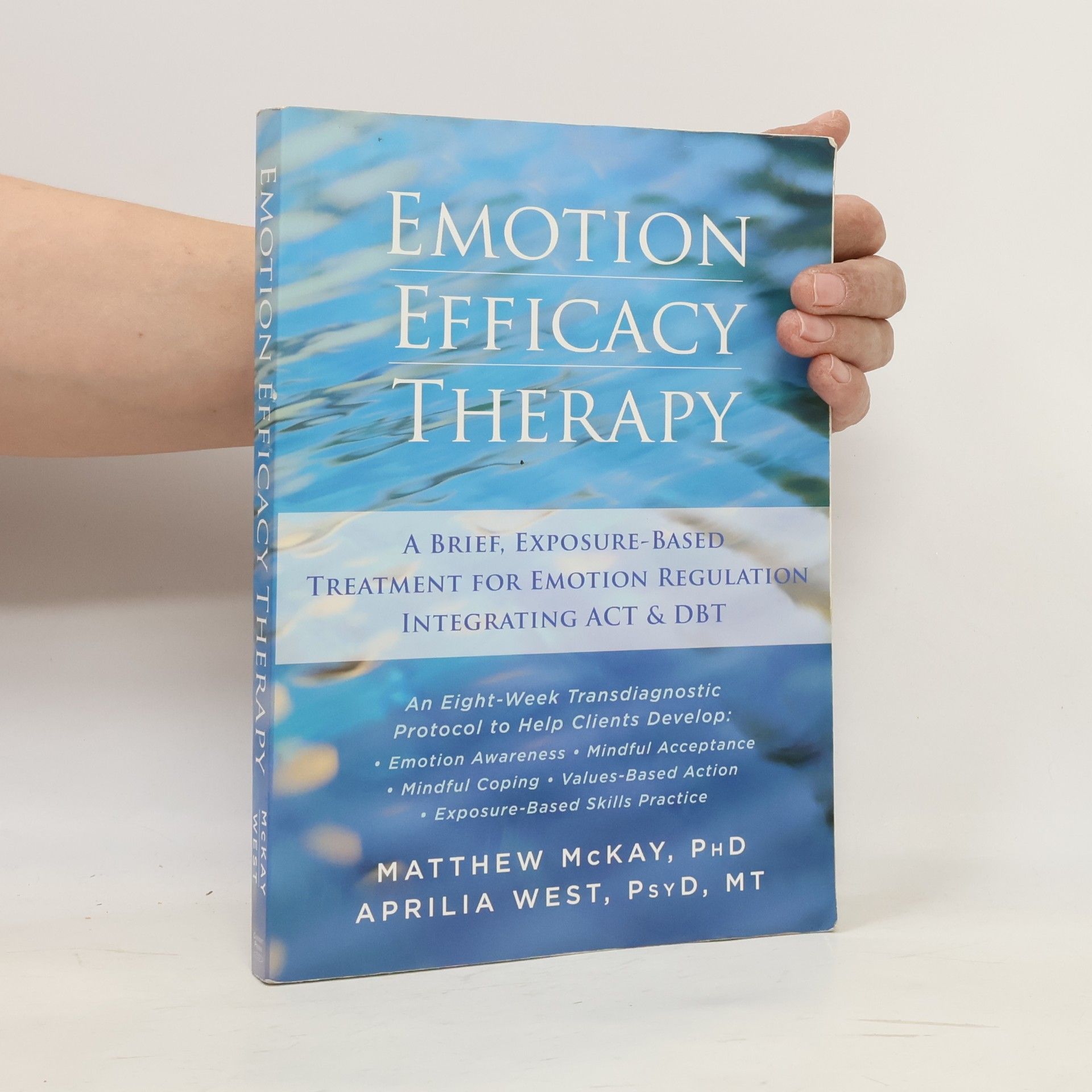 Emotion Efficacy Therapy