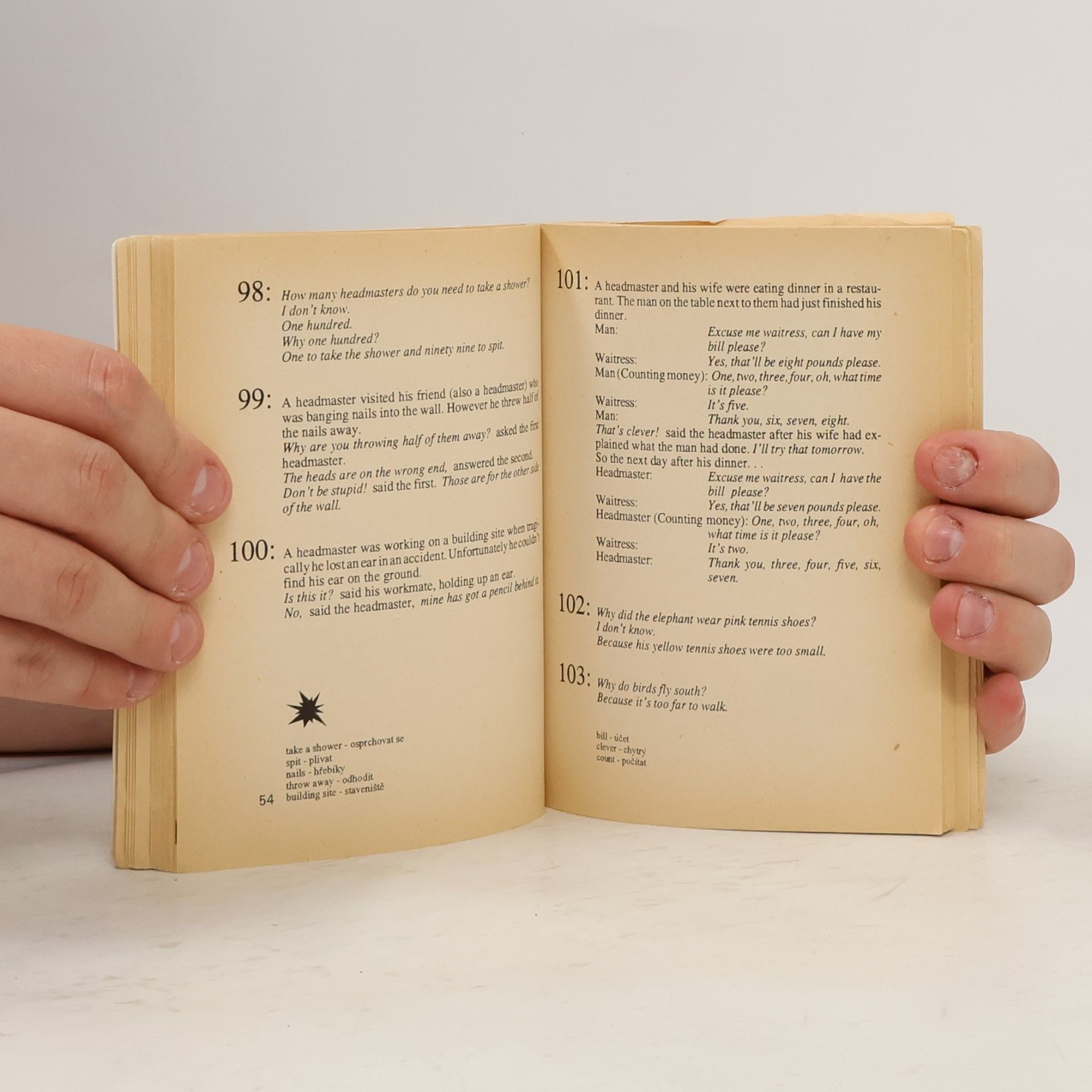 Jeremy Taylor English-Czech Joke Book