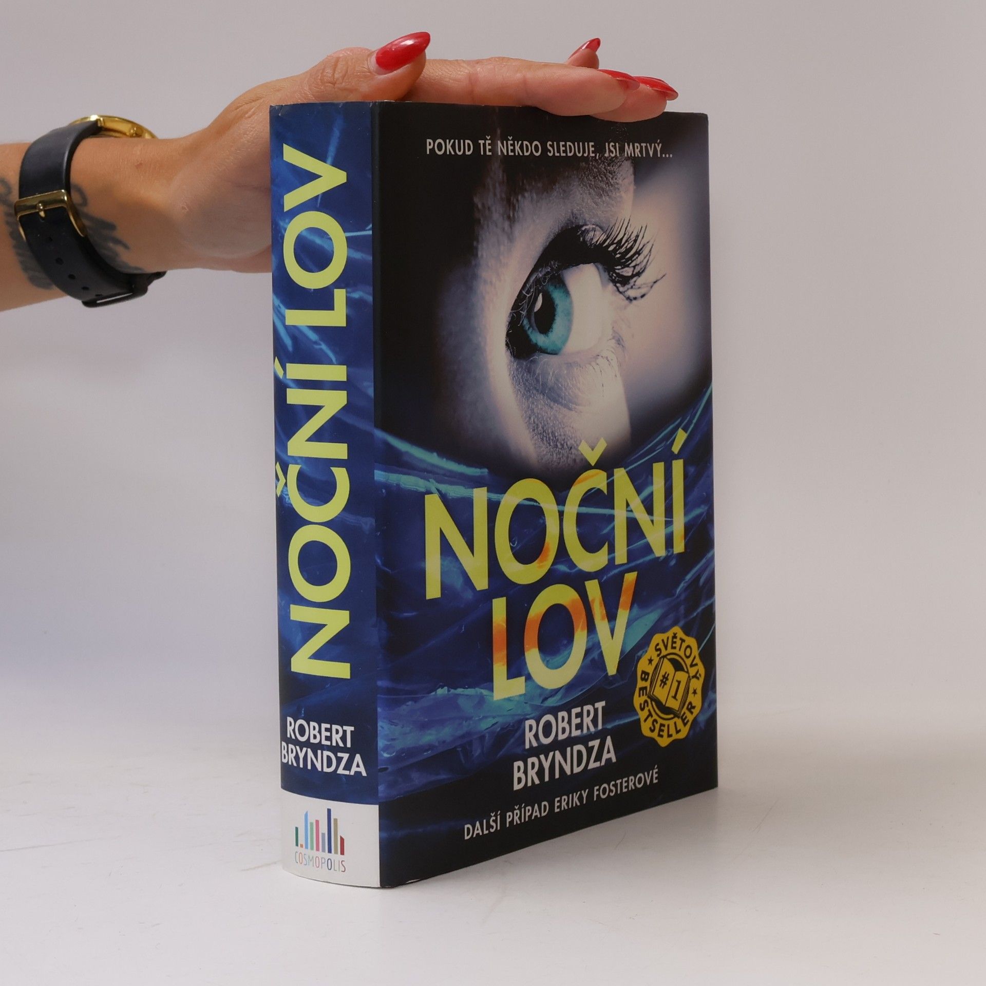 Robert Bryndza Noční lov