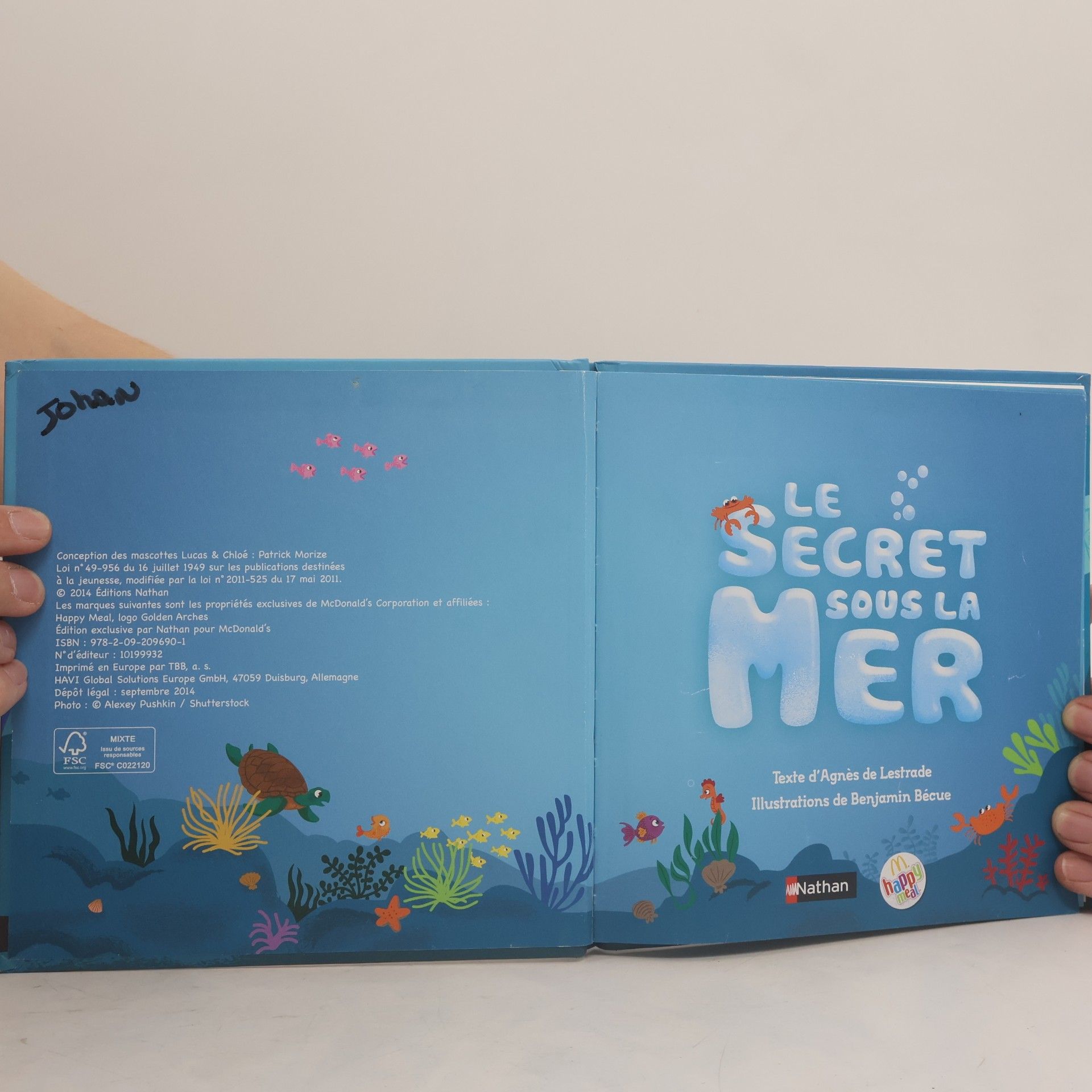 Agnès de Lestrade Le secret sous la mer