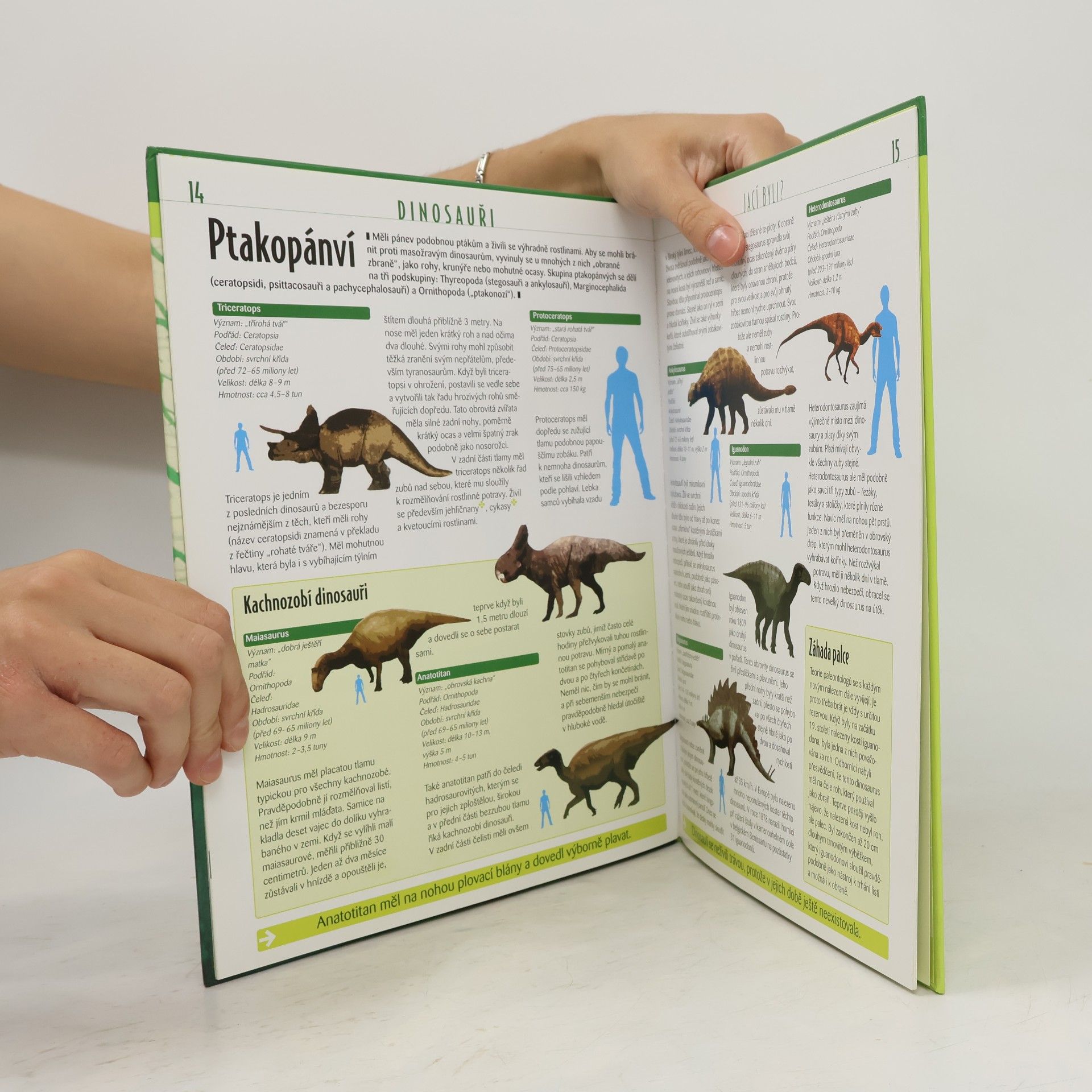 Various authors Dinosauři. Atlas pro mládež