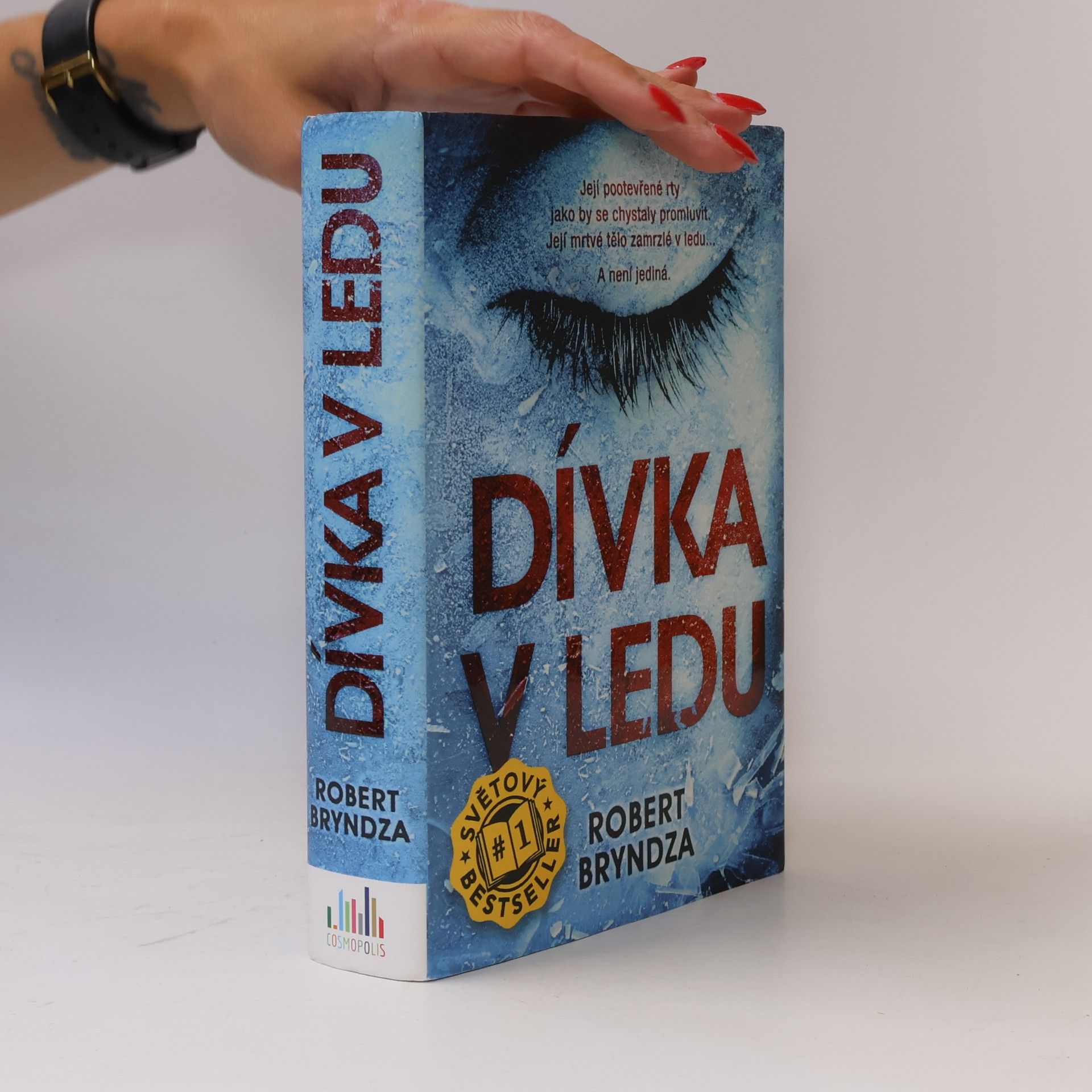 Robert Bryndza Dívka v ledu