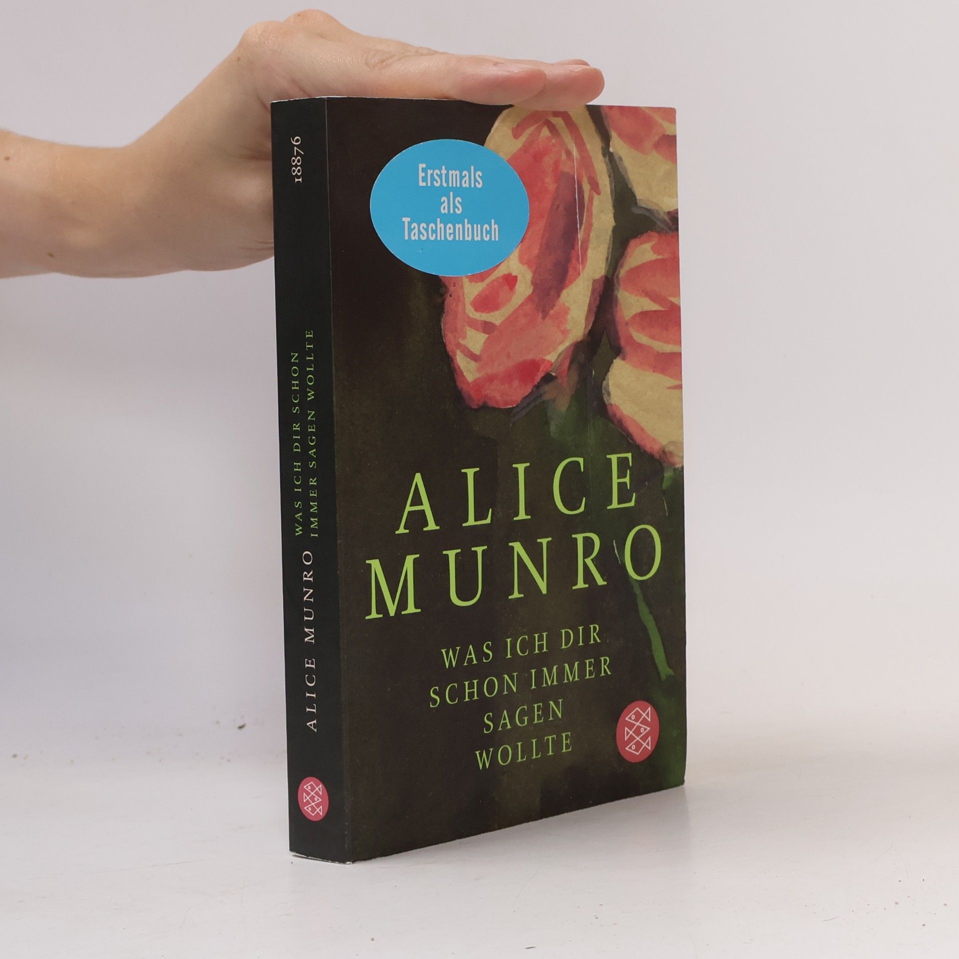 Alice Munro Was ich dir schon immer sagen wollte