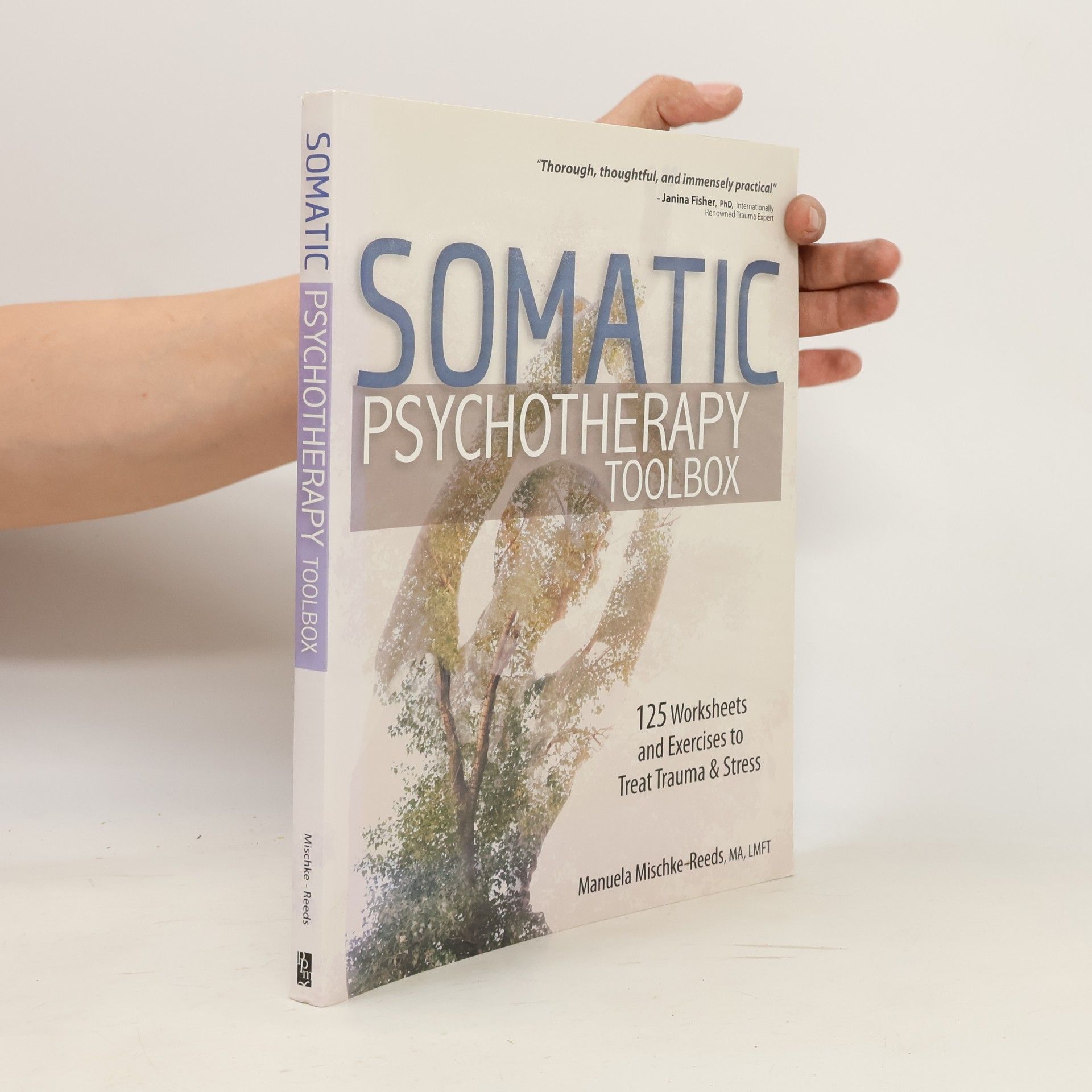 Manuela Mischke-Reeds Somatic Psychotherapy Toolbox