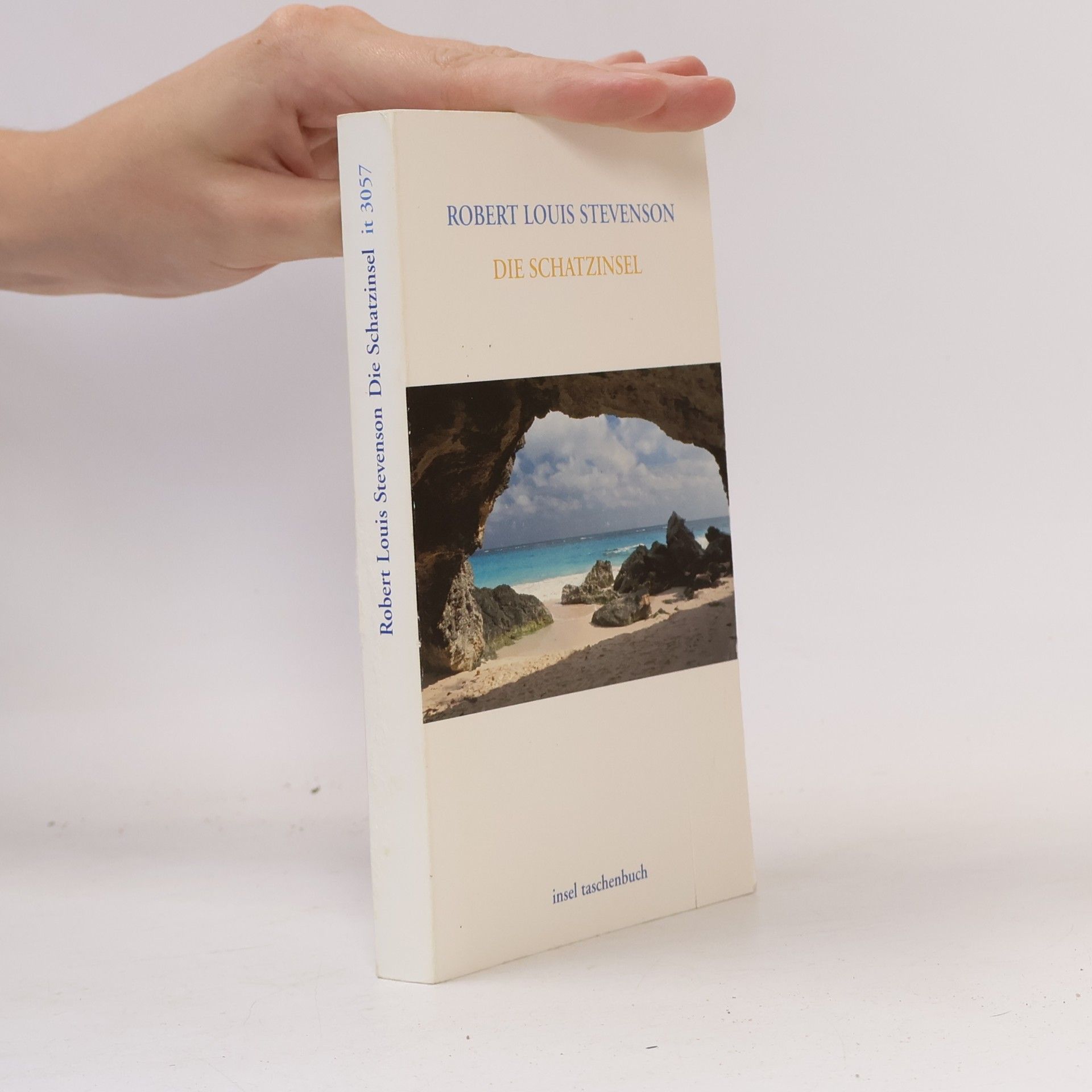 Robert Louis Stevenson Die Schatzinsel