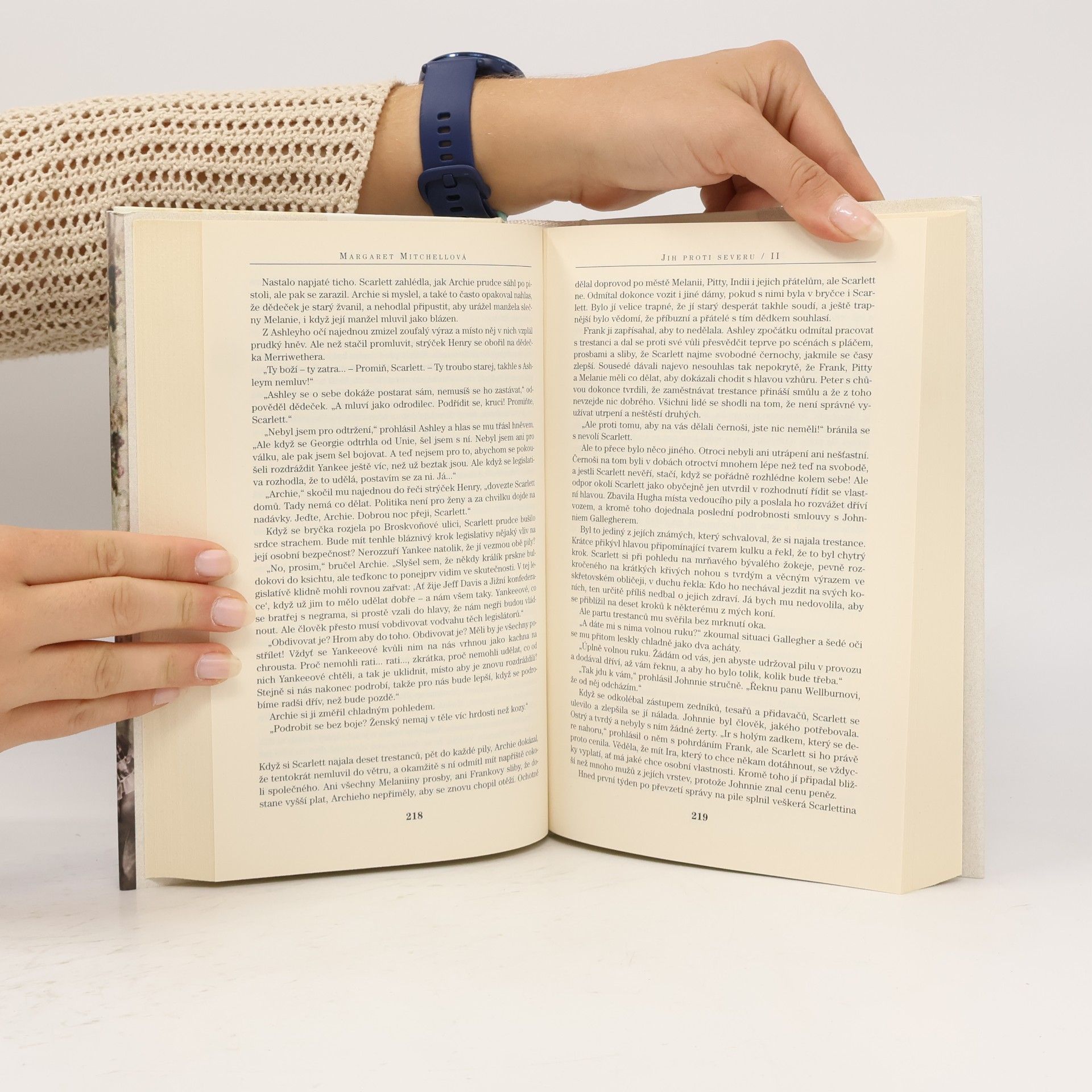 Margaret Mitchell Jih proti Severu. 2